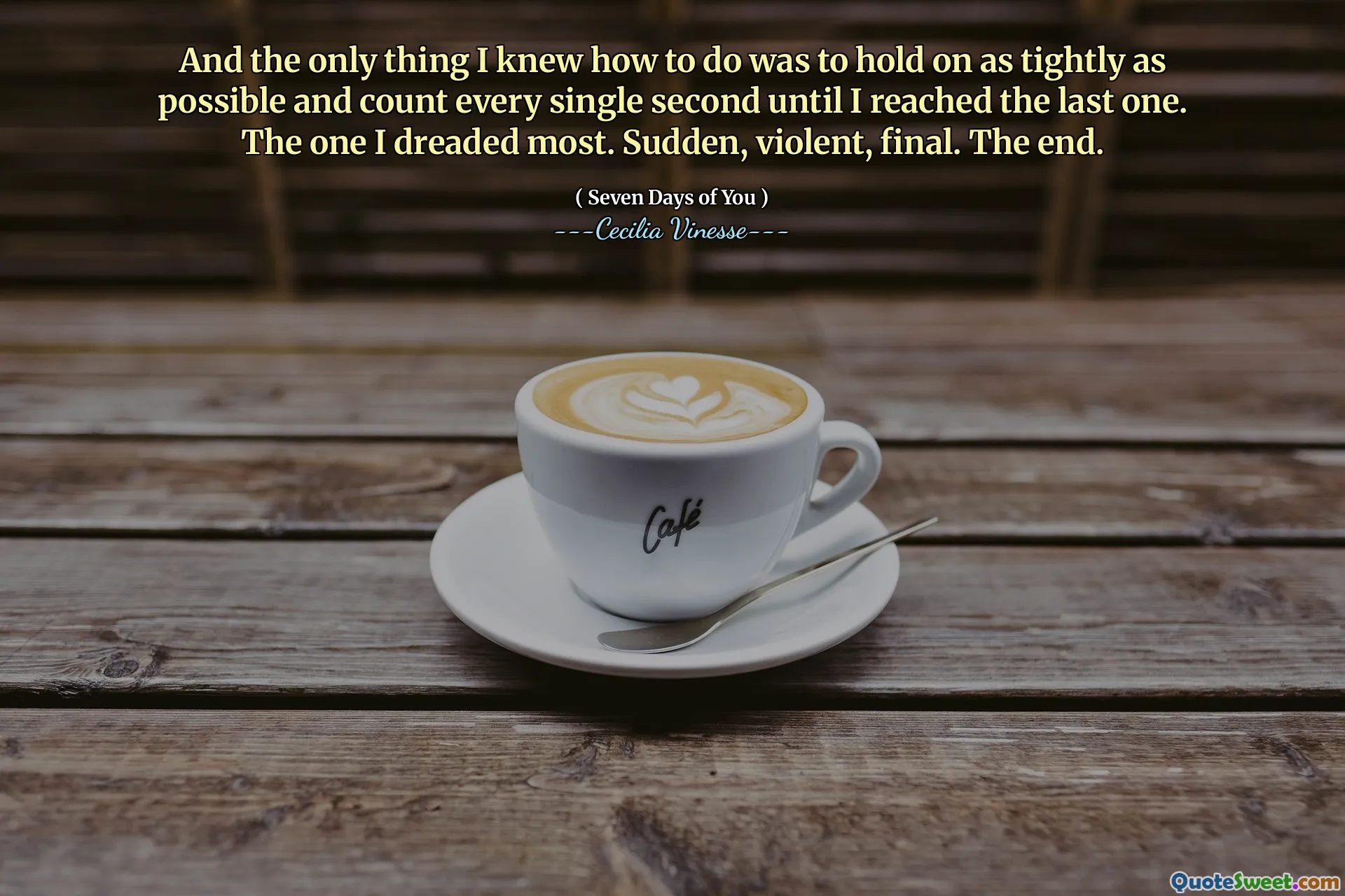 And the only thing I knew how to do was to hold on as tightly as possible and count every single second until I reached the last one. The one I dreaded most. Sudden, violent, final. The end.