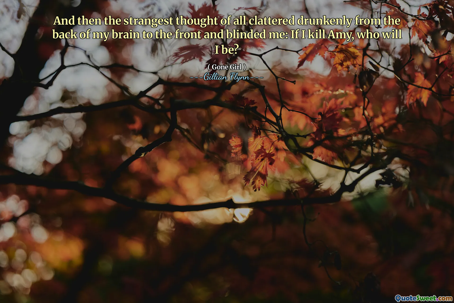 And then the strangest thought of all clattered drunkenly from the back of my brain to the front and blinded me: If I kill Amy, who will I be?