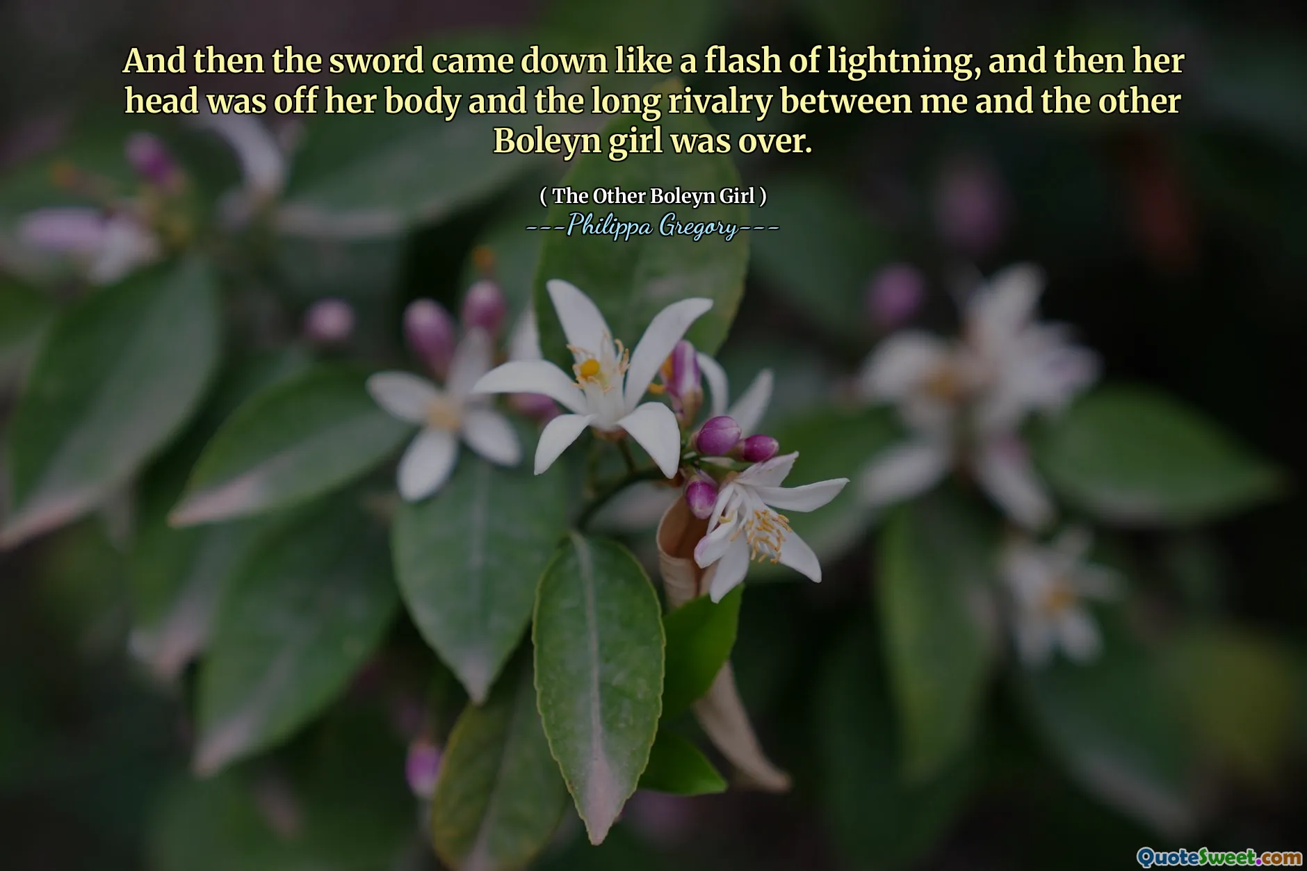 And then the sword came down like a flash of lightning, and then her head was off her body and the long rivalry between me and the other Boleyn girl was over.