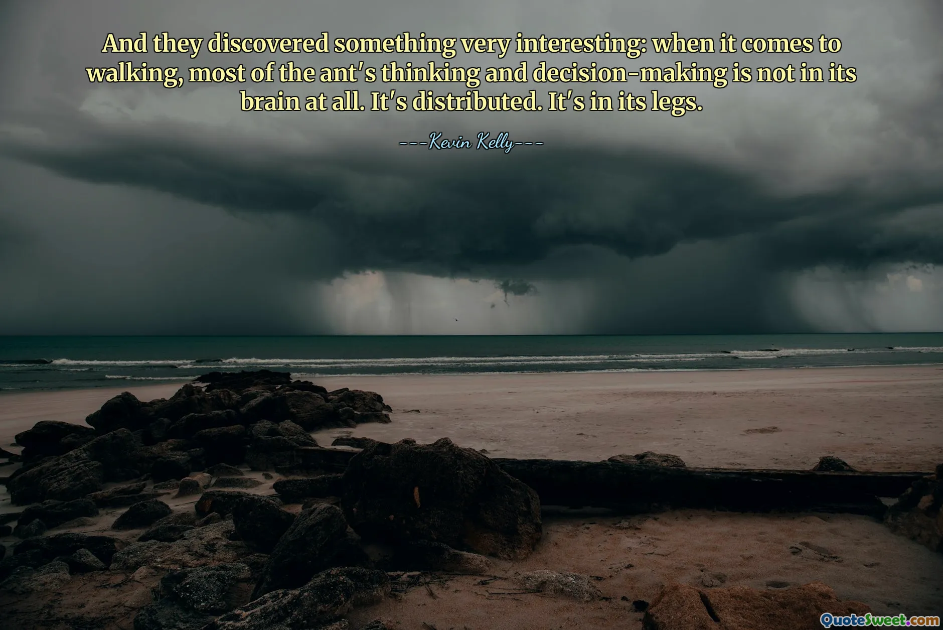 And they discovered something very interesting: when it comes to walking, most of the ant's thinking and decision-making is not in its brain at all. It's distributed. It's in its legs.