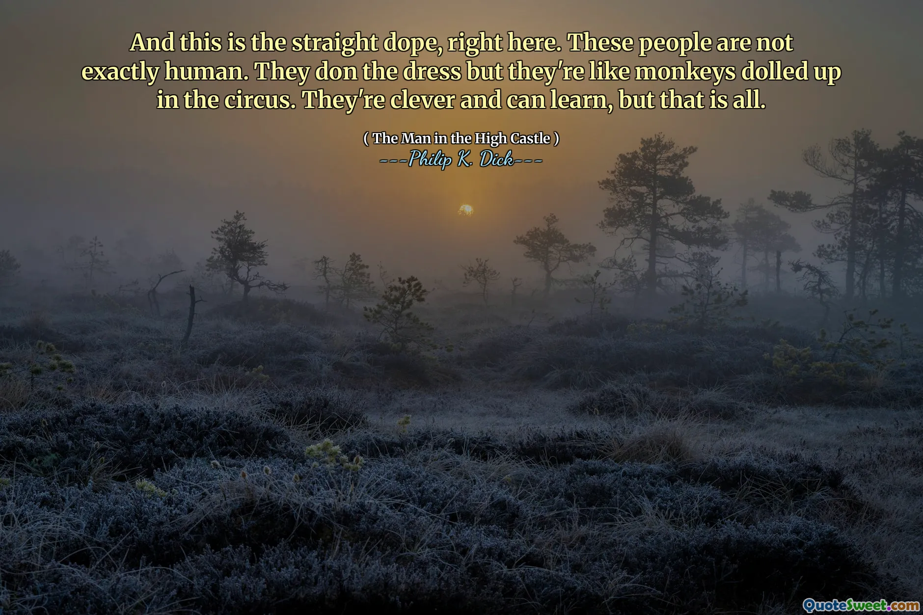 Et c'est la dope droite, ici. Ces gens ne sont pas exactement humains. Ils enfilent la robe mais ils sont comme des singes dans le cirque. Ils sont intelligents et peuvent apprendre, mais c'est tout.