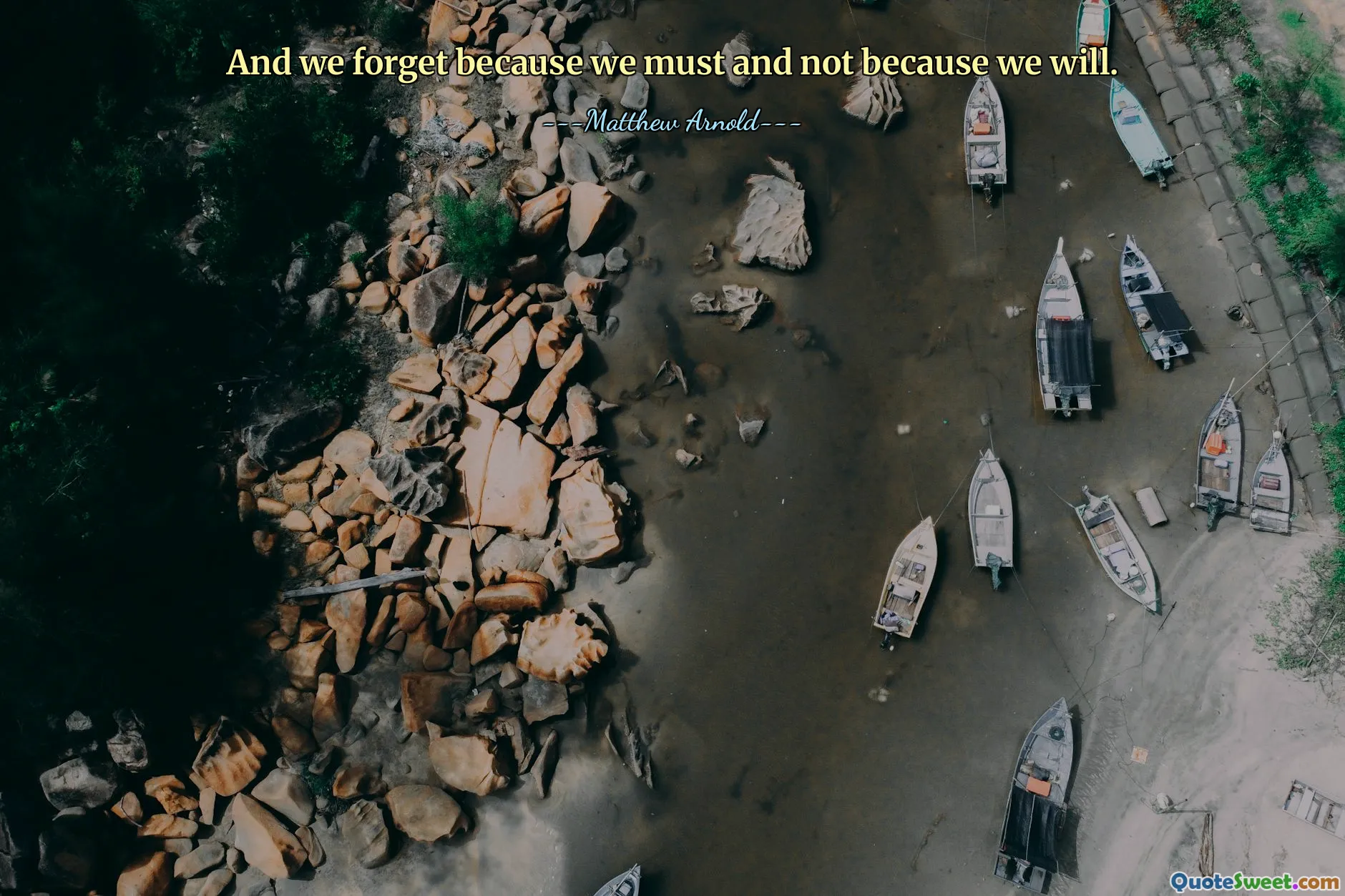 And we forget because we must and not because we will.