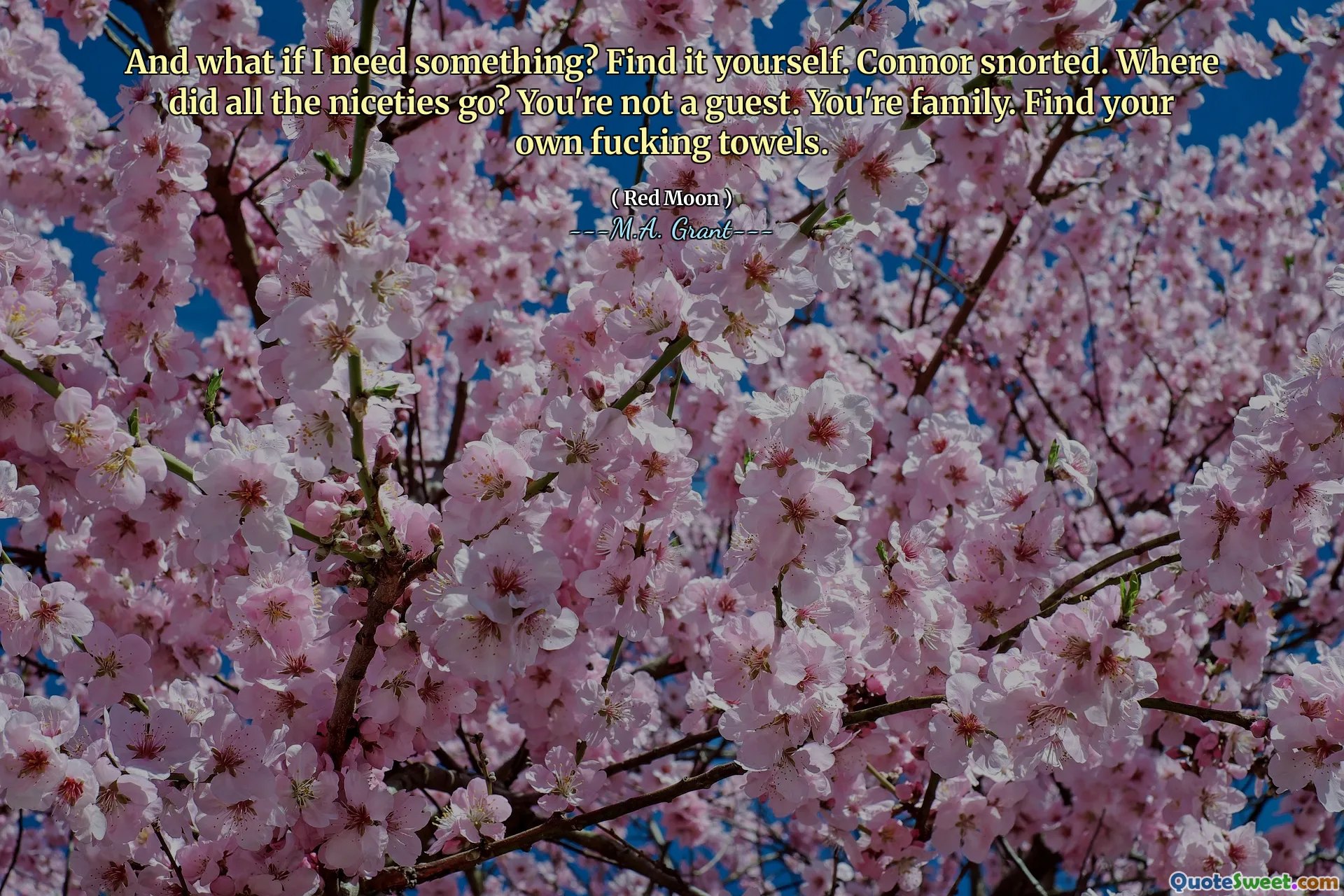 And what if I need something? Find it yourself. Connor snorted. Where did all the niceties go? You're not a guest. You're family. Find your own fucking towels.
