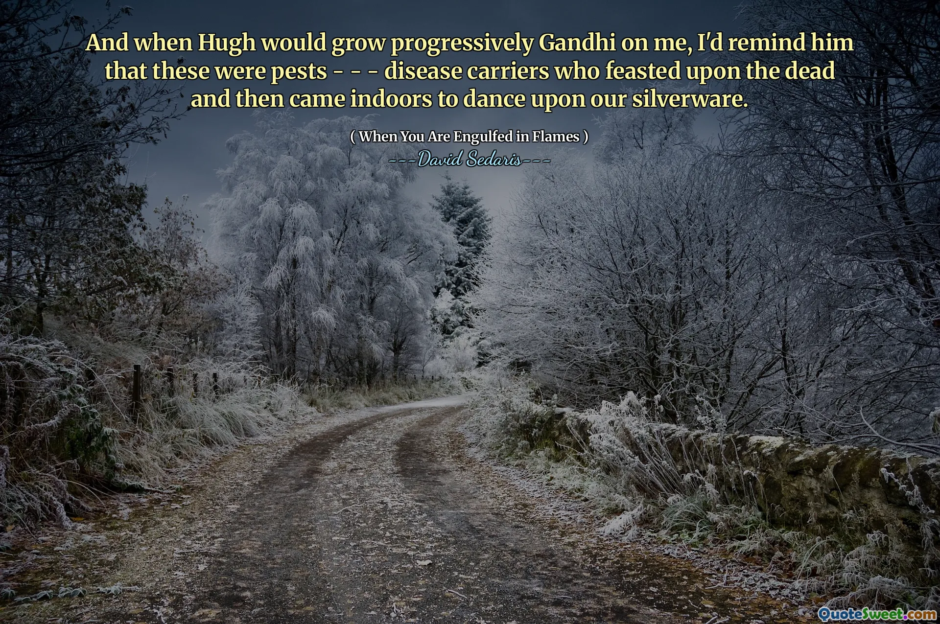And when Hugh would grow progressively Gandhi on me, I'd remind him that these were pests - - - disease carriers who feasted upon the dead and then came indoors to dance upon our silverware.