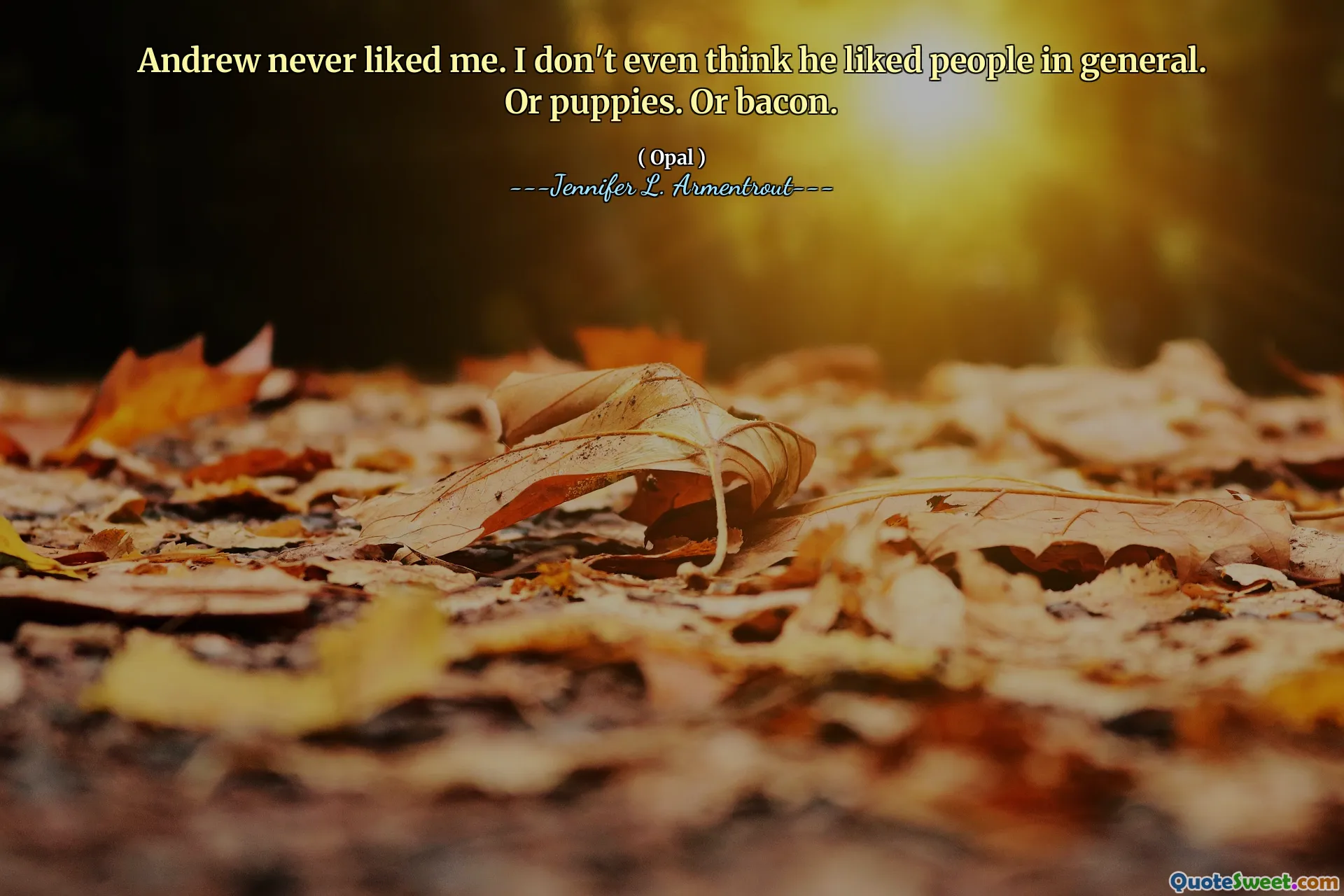 Andrew never liked me. I don't even think he liked people in general. Or puppies. Or bacon.