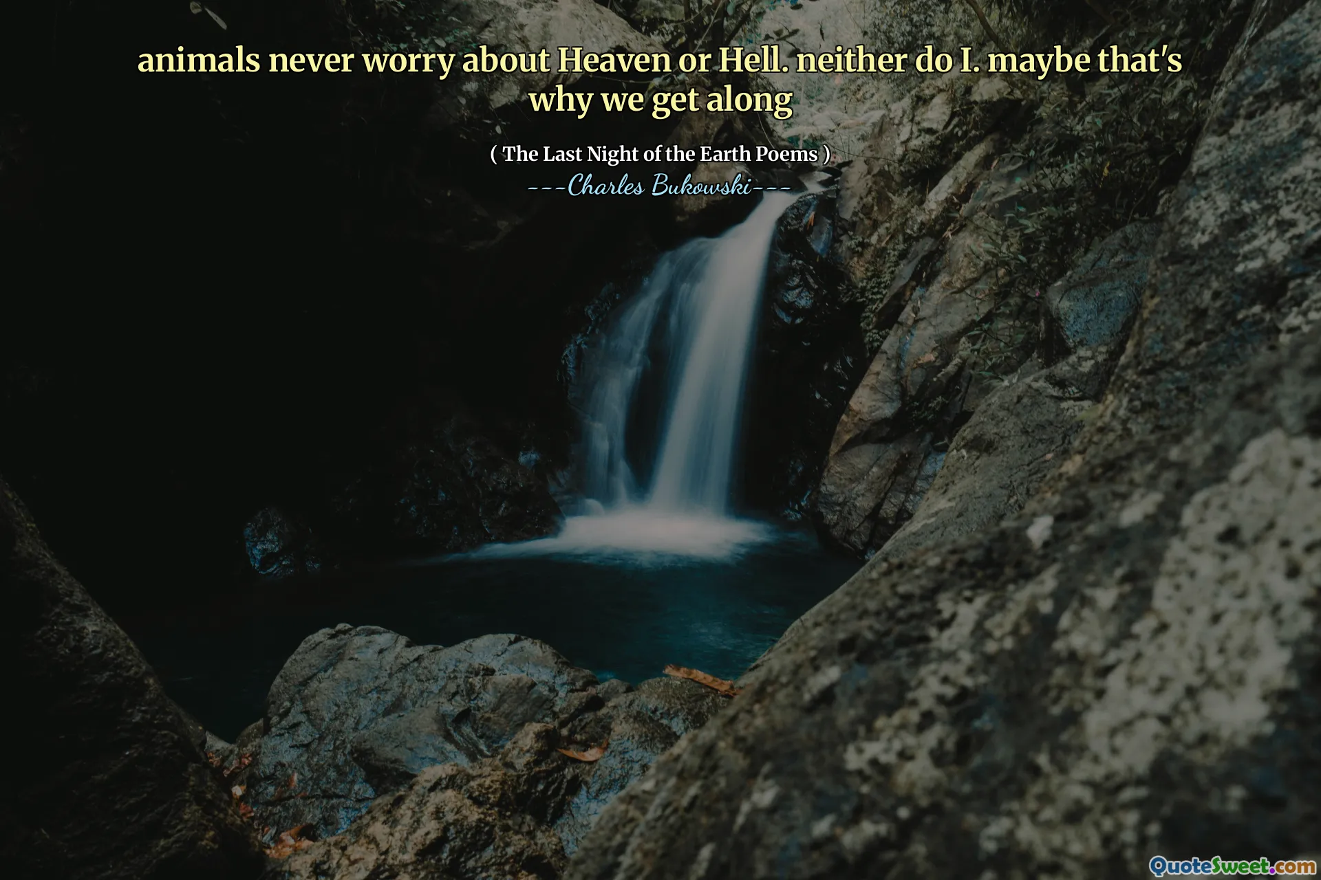 animals never worry about Heaven or Hell. neither do I. maybe that's why we get along