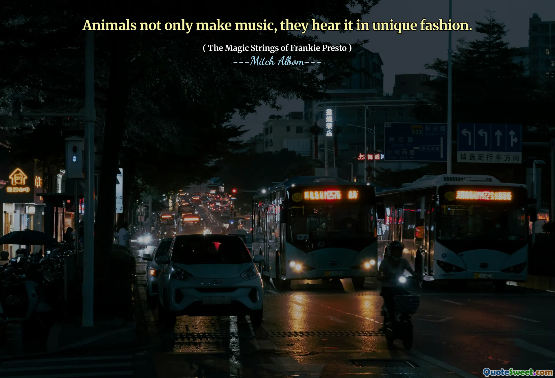 الحيوانات لا تصنع الموسيقى فحسب ، بل تسمعها بطريقة فريدة من نوعها.