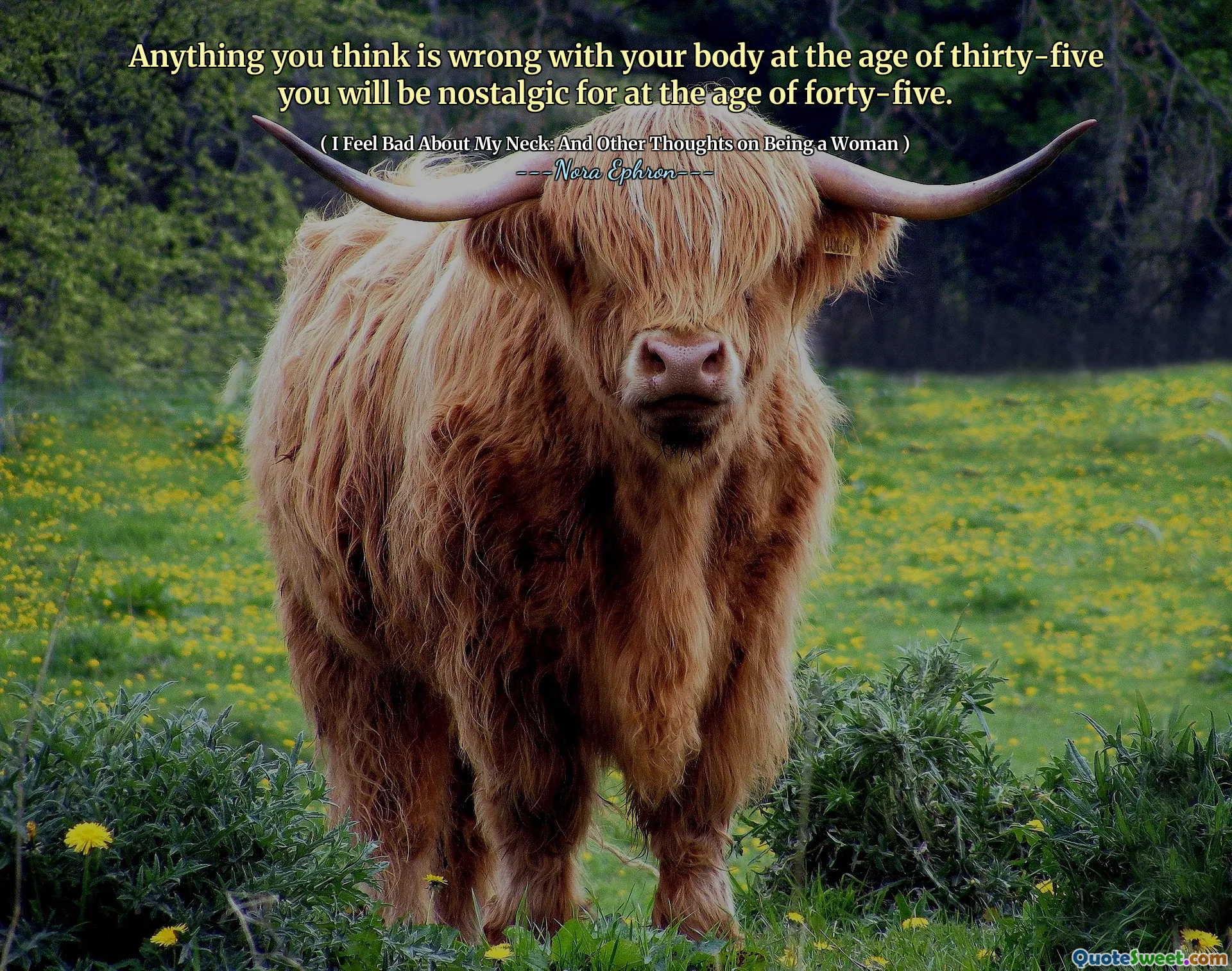 Anything you think is wrong with your body at the age of thirty-five you will be nostalgic for at the age of forty-five.