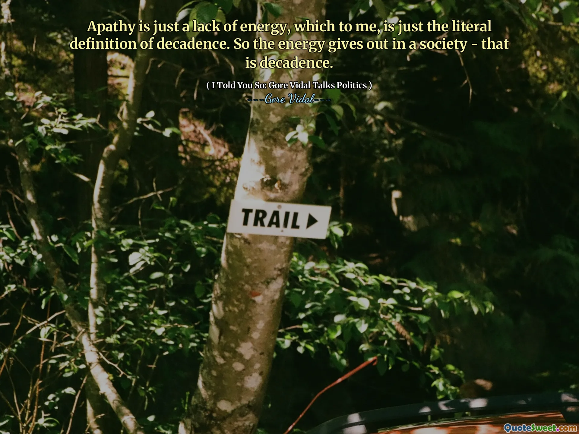 Apathy is just a lack of energy, which to me, is just the literal definition of decadence. So the energy gives out in a society - that is decadence.