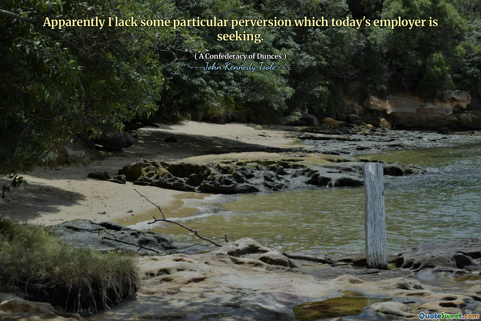 Apparently I lack some particular perversion which today's employer is seeking.