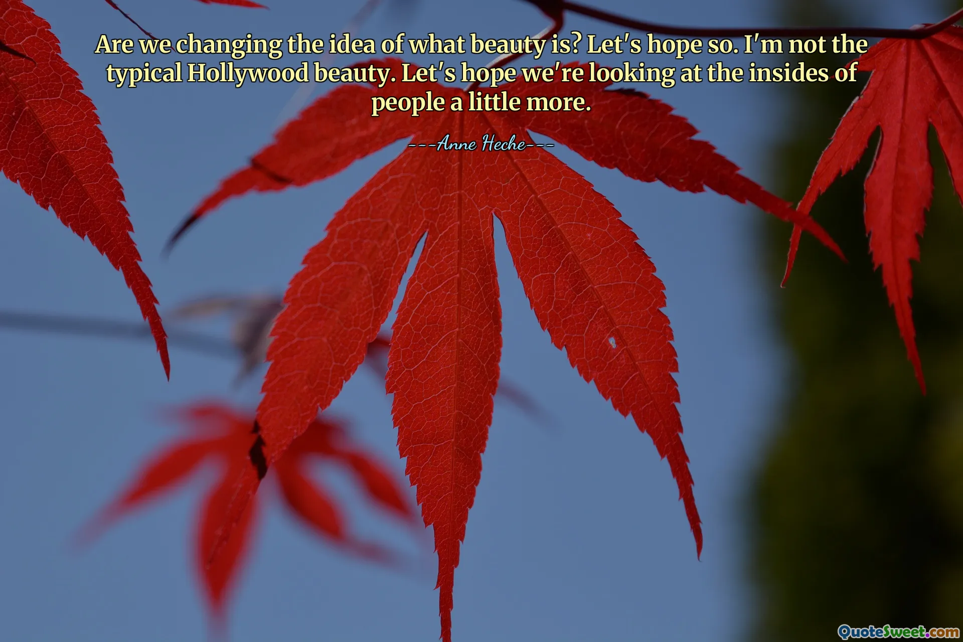 Are we changing the idea of what beauty is? Let's hope so. I'm not the typical Hollywood beauty. Let's hope we're looking at the insides of people a little more.