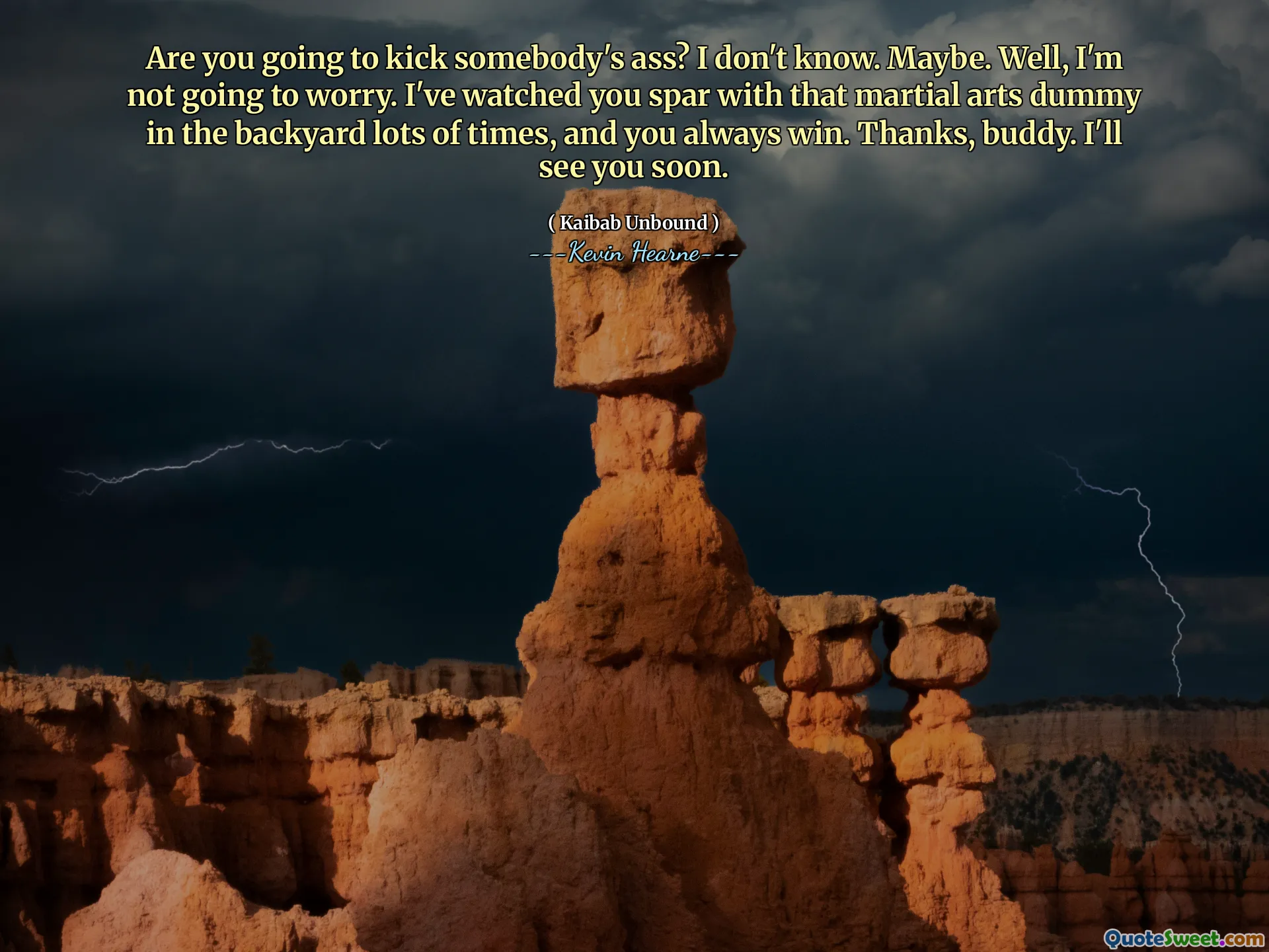 Are you going to kick somebody's ass? I don't know. Maybe. Well, I'm not going to worry. I've watched you spar with that martial arts dummy in the backyard lots of times, and you always win. Thanks, buddy. I'll see you soon.