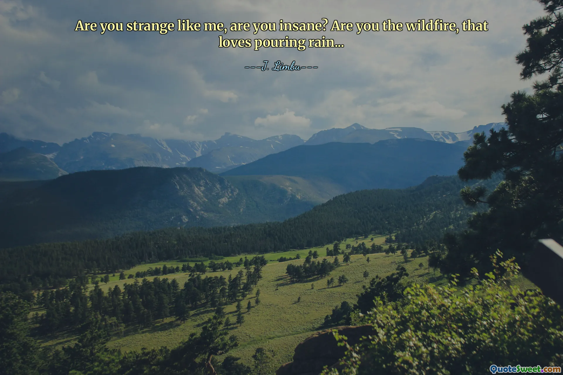 Are you strange like me, are you insane? Are you the wildfire, that loves pouring rain...