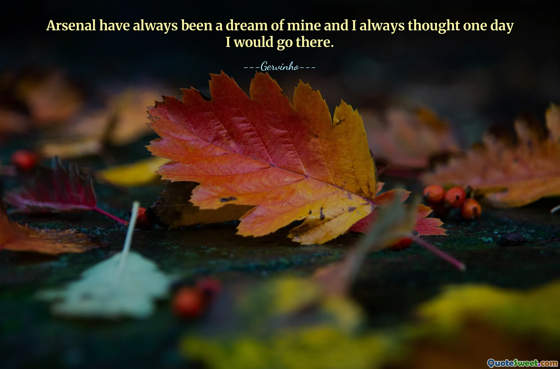 Arsenal have always been a dream of mine and I always thought one day I would go there.