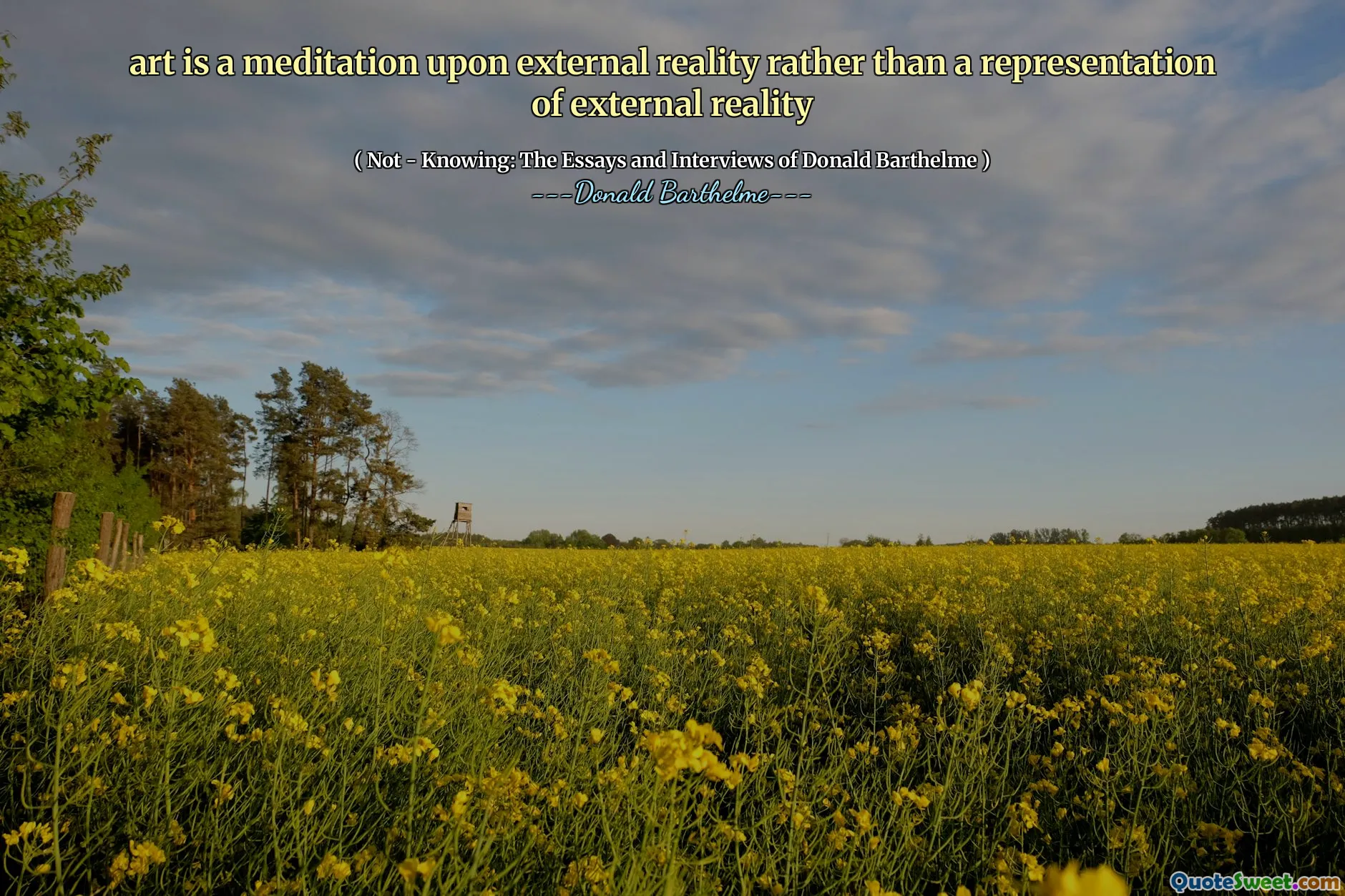 art is a meditation upon external reality rather than a representation of external reality