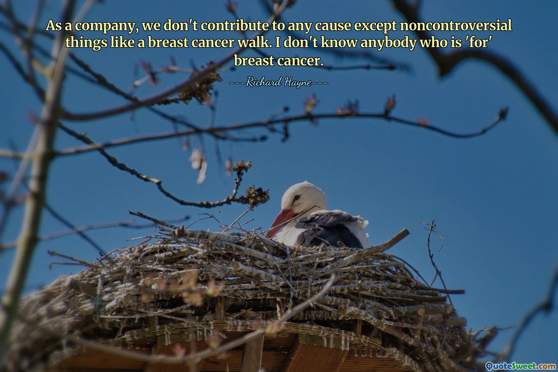 As a company, we don't contribute to any cause except noncontroversial things like a breast cancer walk. I don't know anybody who is 'for' breast cancer.