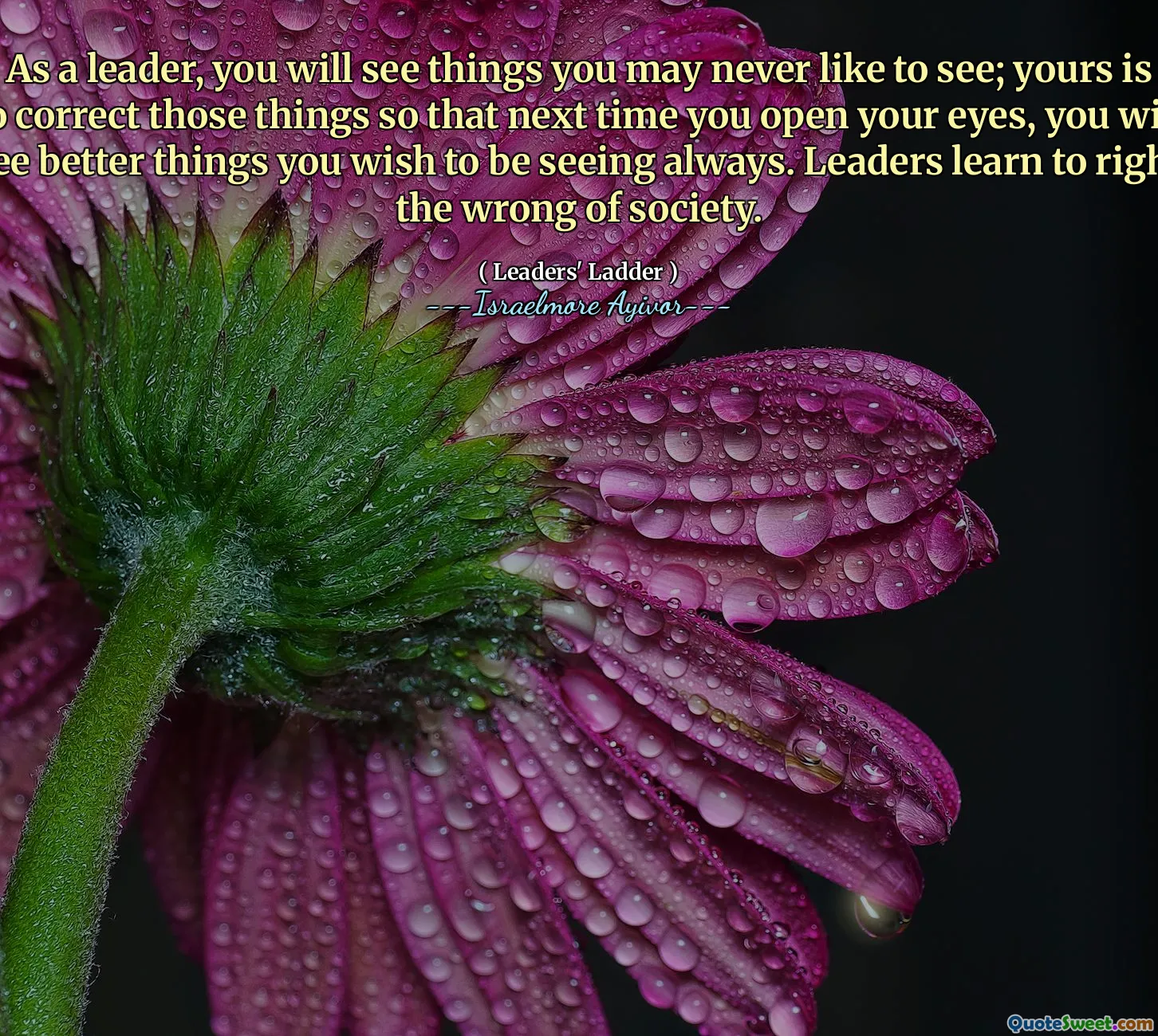 As a leader, you will see things you may never like to see; yours is to correct those things so that next time you open your eyes, you will see better things you wish to be seeing always. Leaders learn to right the wrong of society.