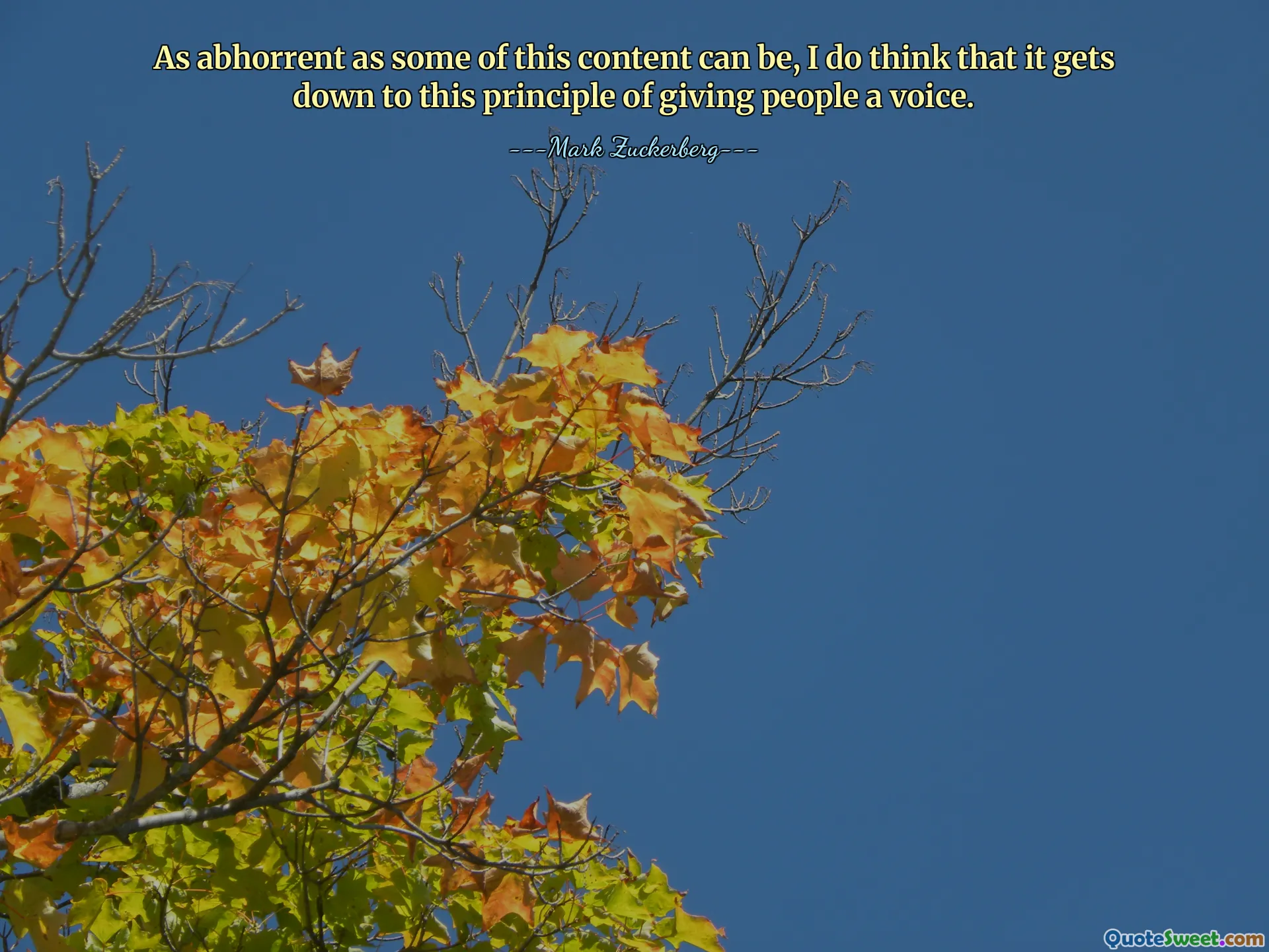 As abhorrent as some of this content can be, I do think that it gets down to this principle of giving people a voice.