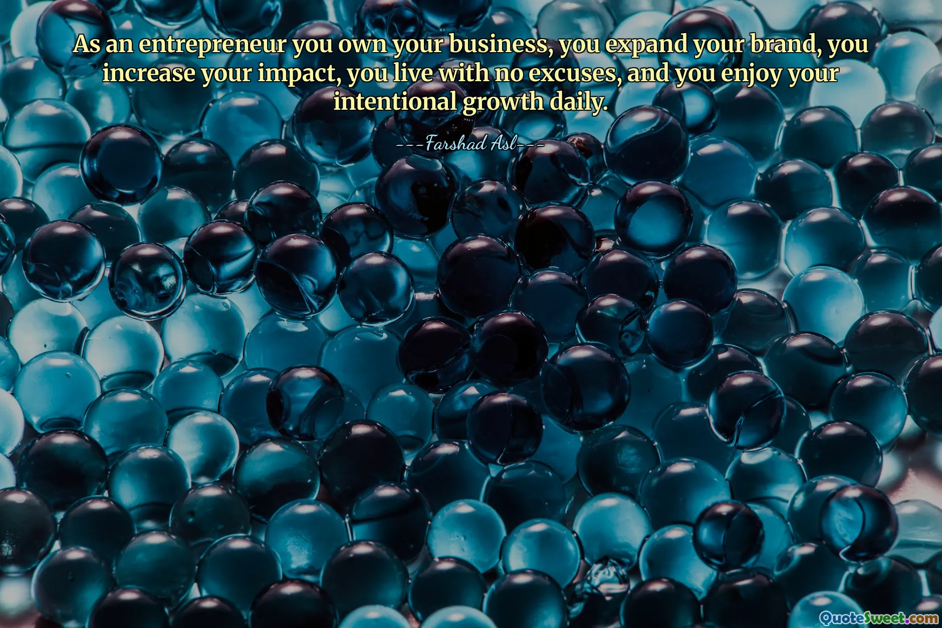 As an entrepreneur you own your business, you expand your brand, you increase your impact, you live with no excuses, and you enjoy your intentional growth daily.