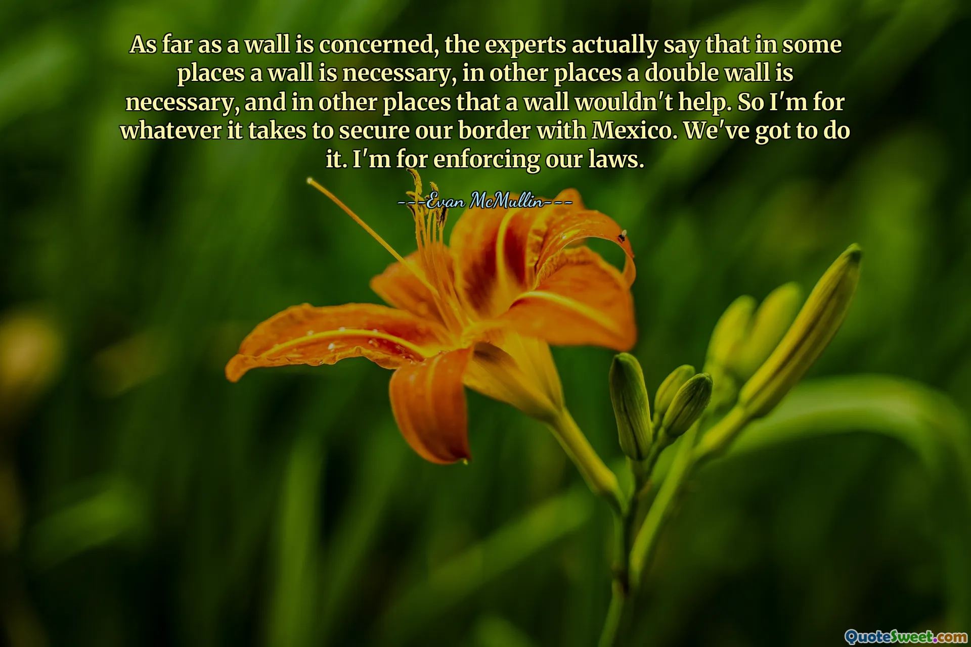 Что касается стены, то эксперты фактически говорят, что в некоторых местах стена необходима, в других местах необходима двойная стена, а в других местах стена не поможет. Поэтому я за то, чтобы обеспечить безопасность нашей границы с Мексикой. Мы должны это сделать. Я за соблюдение наших законов.