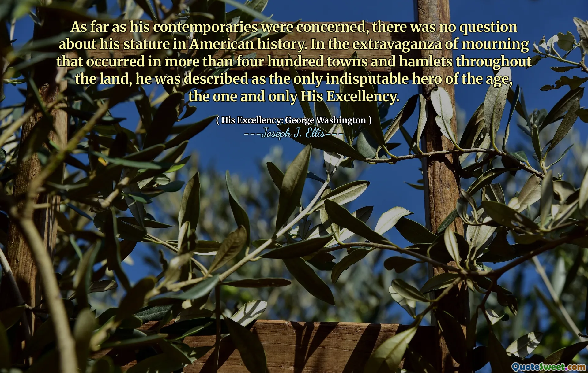 As far as his contemporaries were concerned, there was no question about his stature in American history. In the extravaganza of mourning that occurred in more than four hundred towns and hamlets throughout the land, he was described as the only indisputable hero of the age, the one and only His Excellency.