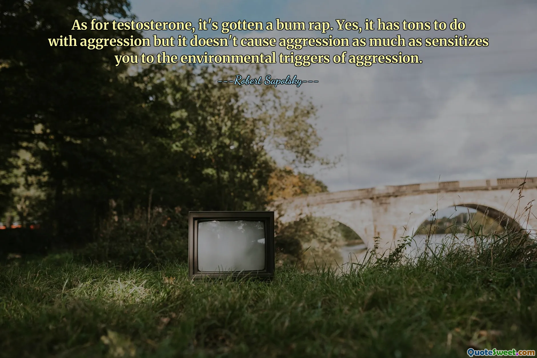 As for testosterone, it's gotten a bum rap. Yes, it has tons to do with aggression but it doesn't cause aggression as much as sensitizes you to the environmental triggers of aggression.