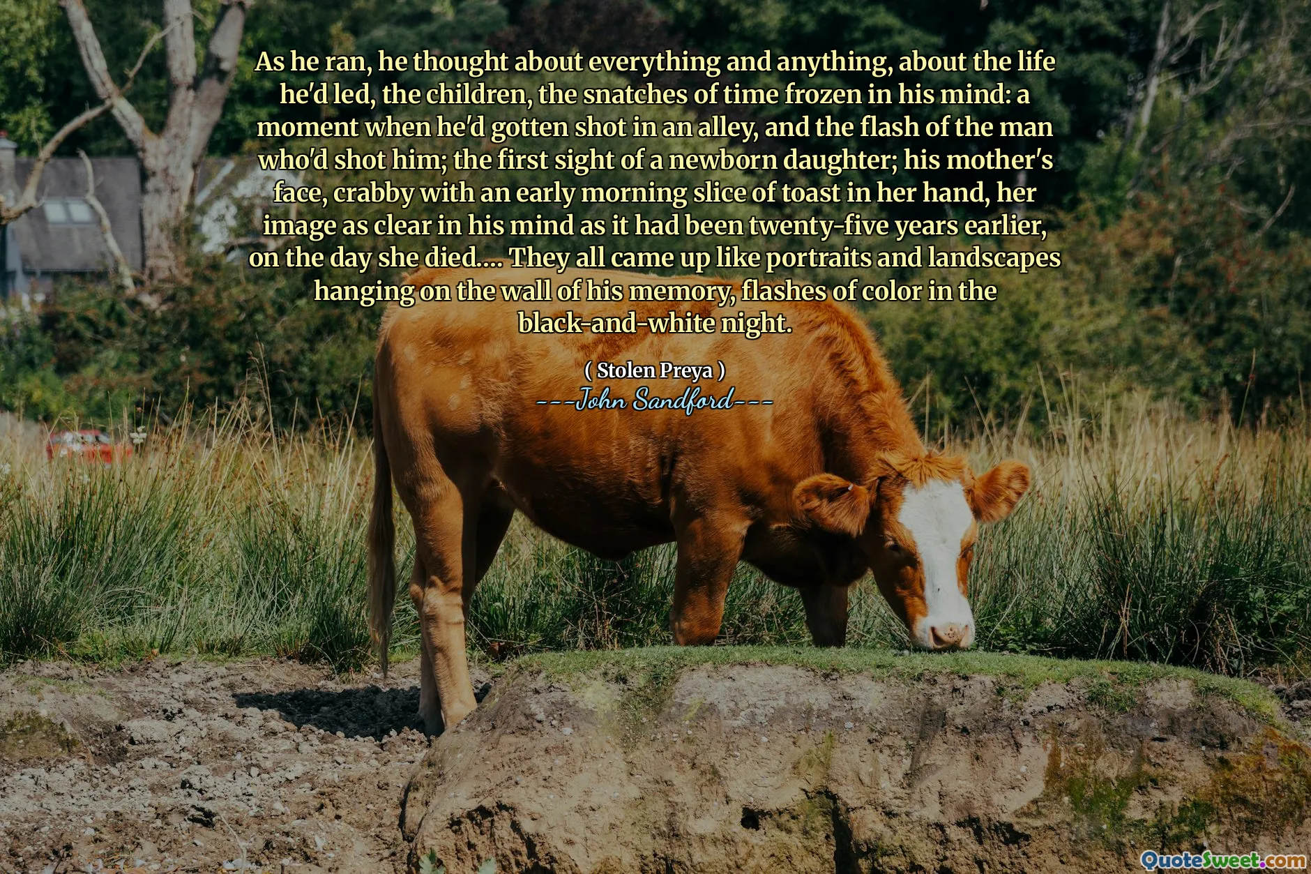 Mientras corría, pensaba en todo y en cualquier cosa, en la vida que había llevado, en los niños, en los fragmentos de tiempo congelados en su mente: un momento en el que le dispararon en un callejón y el destello del hombre que le había disparado; la primera visión de una hija recién nacida; el rostro de su madre, de mal humor con una tostada matutina en la mano, su imagen tan clara en su mente como lo había sido veinticinco años antes, el día de su muerte…. Todos surgieron como retratos y paisajes colgados en la pared de su memoria, destellos de color en la noche en blanco y negro.