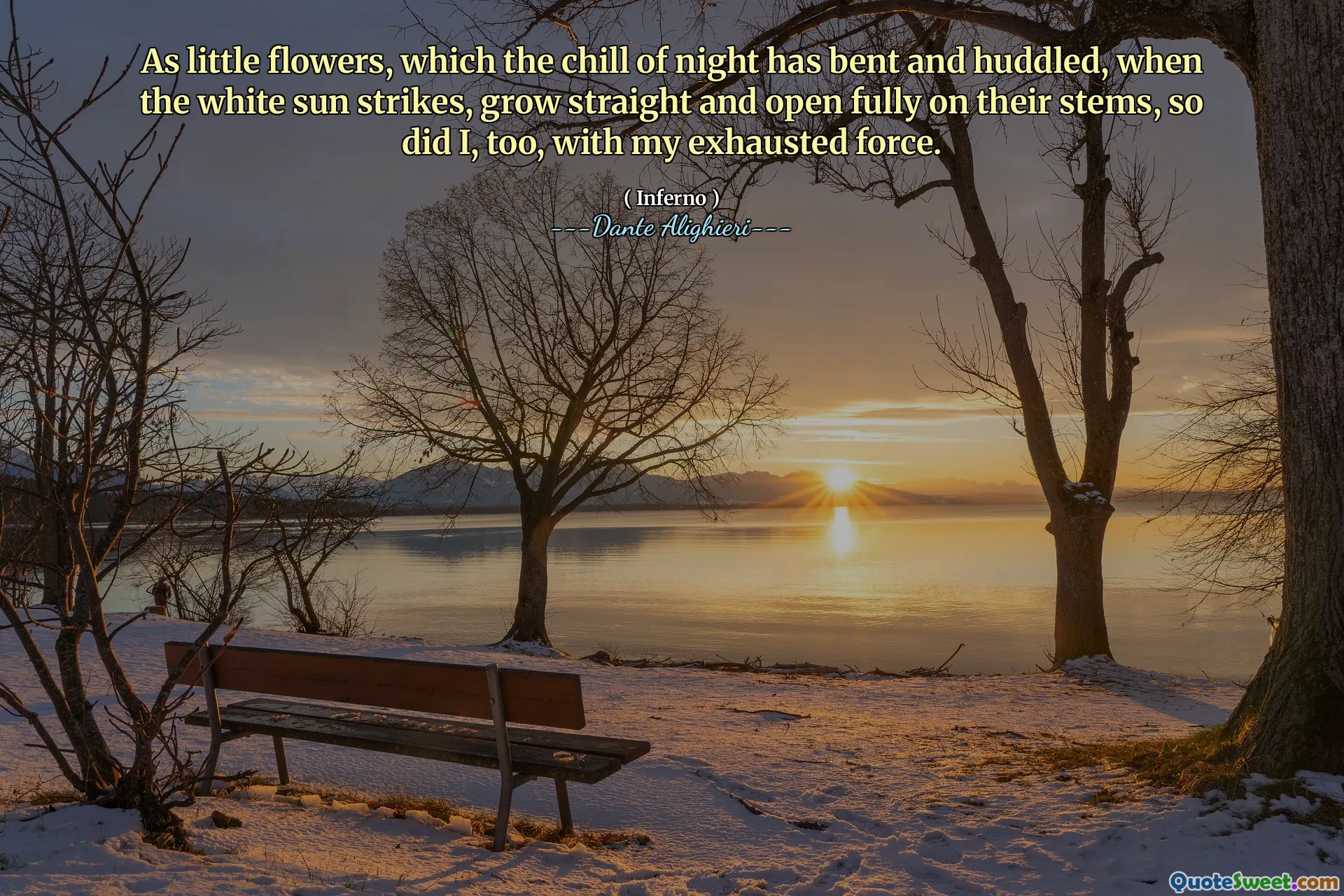 As little flowers, which the chill of night has bent and huddled, when the white sun strikes, grow straight and open fully on their stems, so did I, too, with my exhausted force.