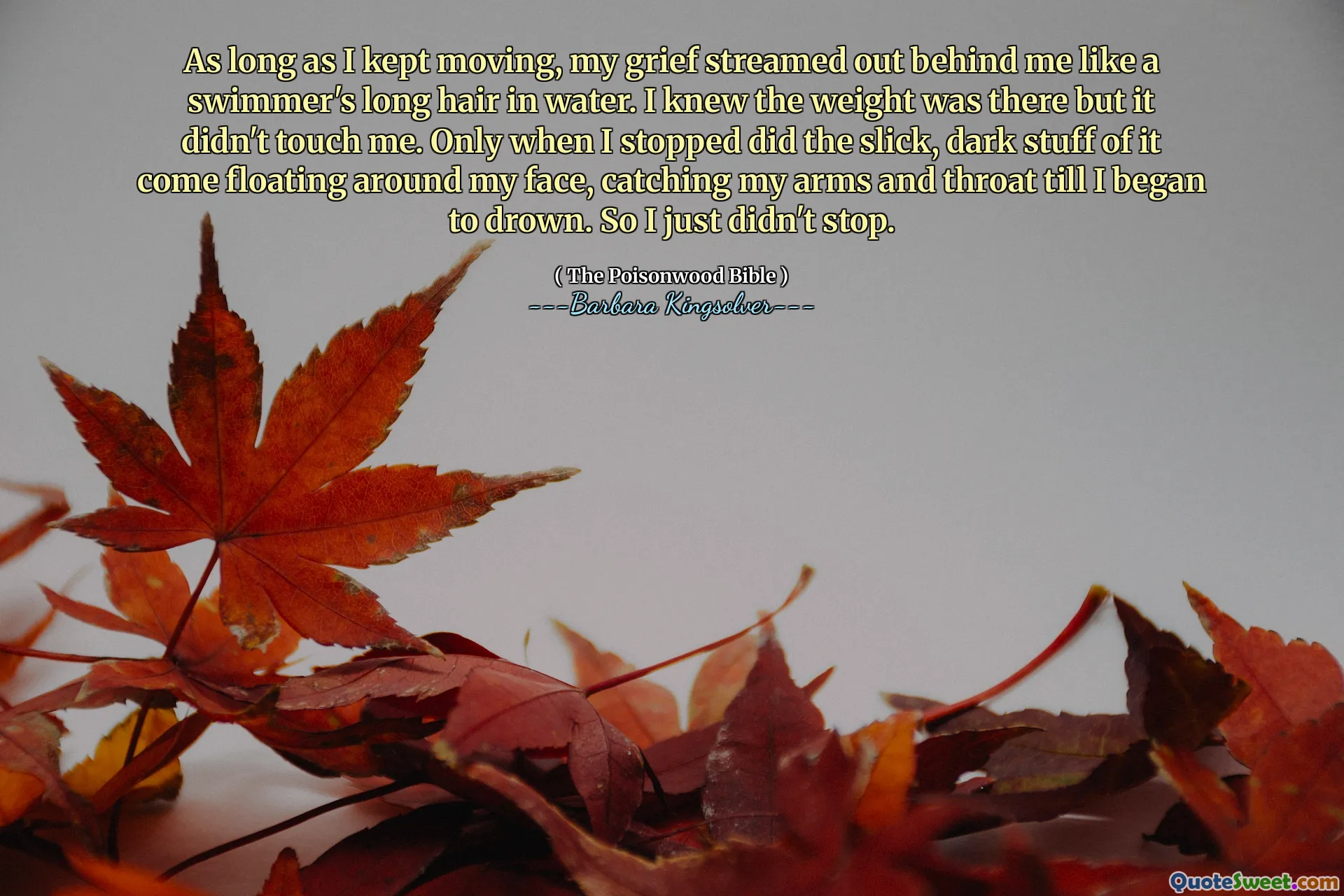 Enquanto eu continuava se movendo, minha dor foi transmitida atrás de mim como os longos cabelos de um nadador na água. Eu sabia que o peso estava lá, mas não me tocou. Somente quando parei, as coisas escuras e escuras vêm flutuando em volta do meu rosto, pegando meus braços e garganta até eu começar a me afogar. Então eu simplesmente não parei.