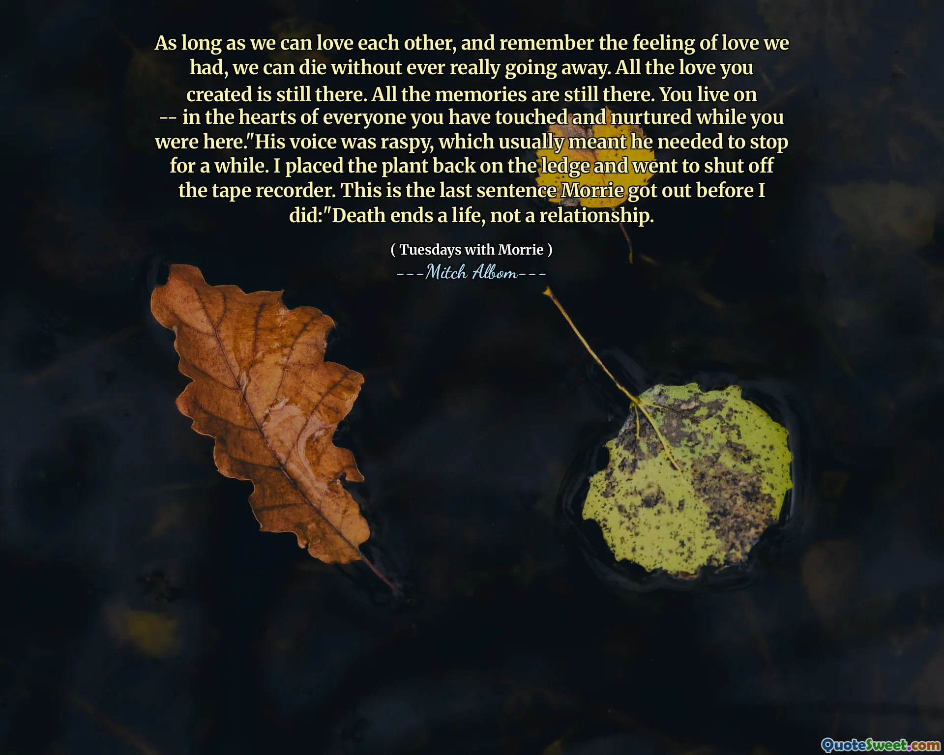 只要我们能彼此相爱，并记住我们拥有的爱的感觉，我们就可以死亡而不会真正消失。您创造的所有爱仍然存在。所有的记忆仍然存在。您一直生活着 - 在您在这里时您感动和养育的每个人的心中。录音机。