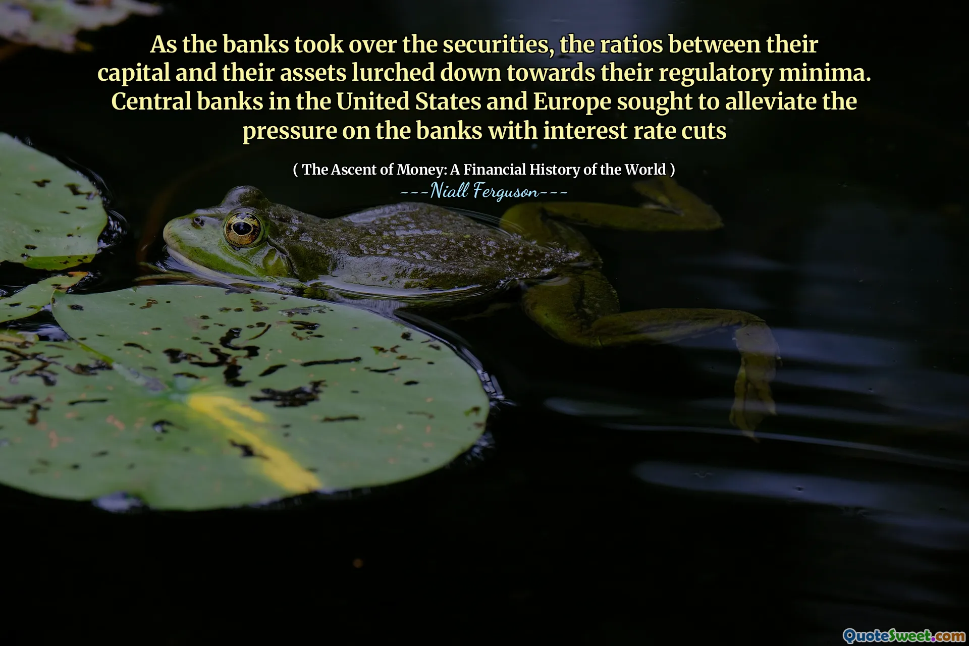 As the banks took over the securities, the ratios between their capital and their assets lurched down towards their regulatory minima. Central banks in the United States and Europe sought to alleviate the pressure on the banks with interest rate cuts