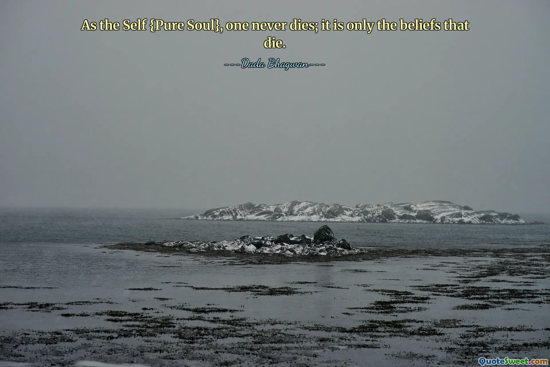 As the Self {Pure Soul}, one never dies; it is only the beliefs that die.