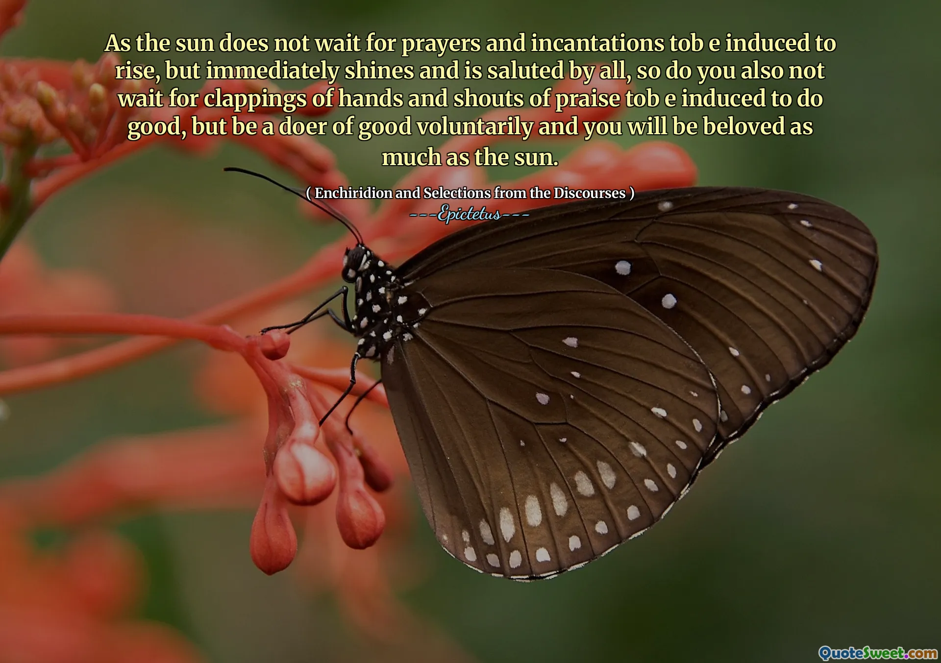 Eftersom solen inte väntar på böner och inkantationer som induceras att stiga, men lyser omedelbart och hälsas av alla, så väntar du inte heller på kappningar av händer och rop av beröm för att göra gott, men vara en bra frivillig och du kommer inte att bli älskad så mycket som solen.