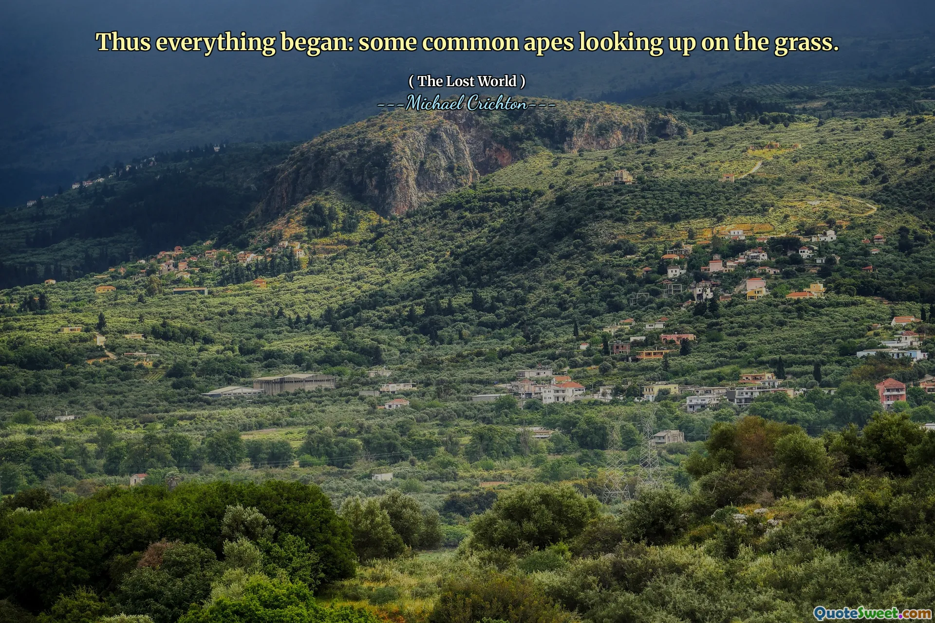 Thus everything began: some common apes looking up on the grass.
