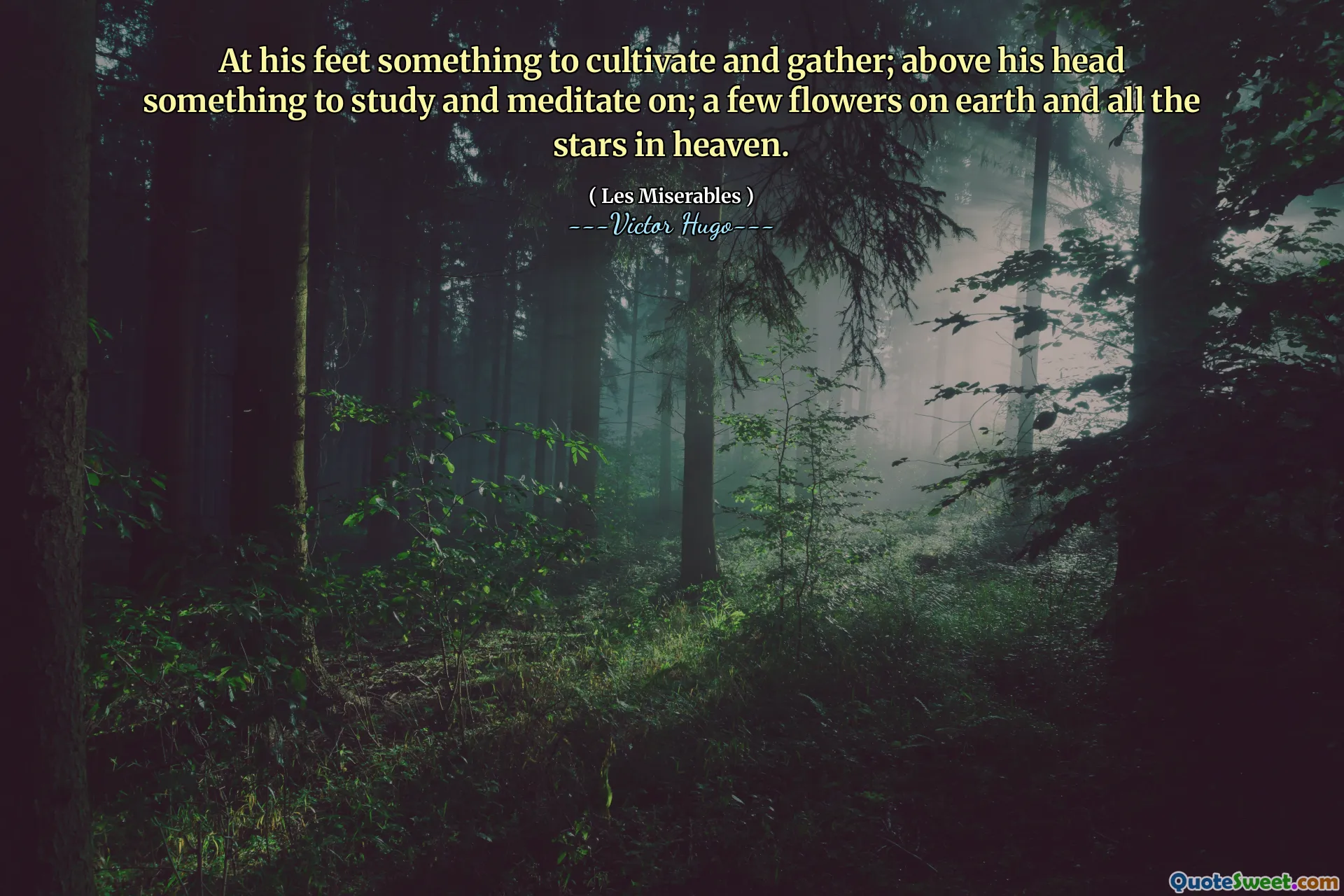 At his feet something to cultivate and gather; above his head something to study and meditate on; a few flowers on earth and all the stars in heaven.