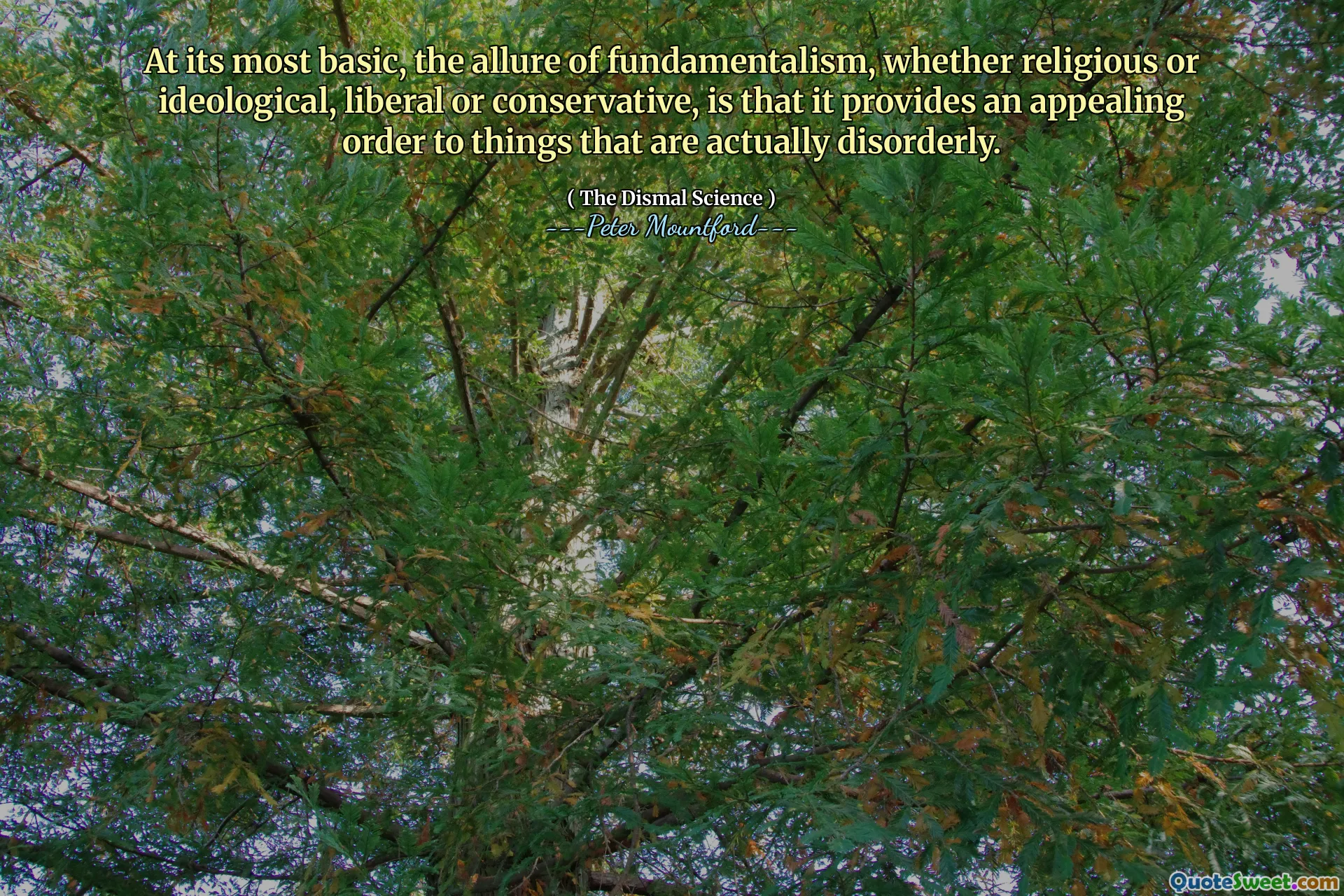 At its most basic, the allure of fundamentalism, whether religious or ideological, liberal or conservative, is that it provides an appealing order to things that are actually disorderly.