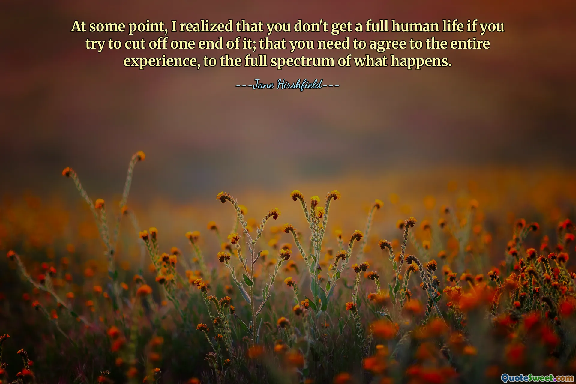 At some point, I realized that you don't get a full human life if you try to cut off one end of it; that you need to agree to the entire experience, to the full spectrum of what happens.