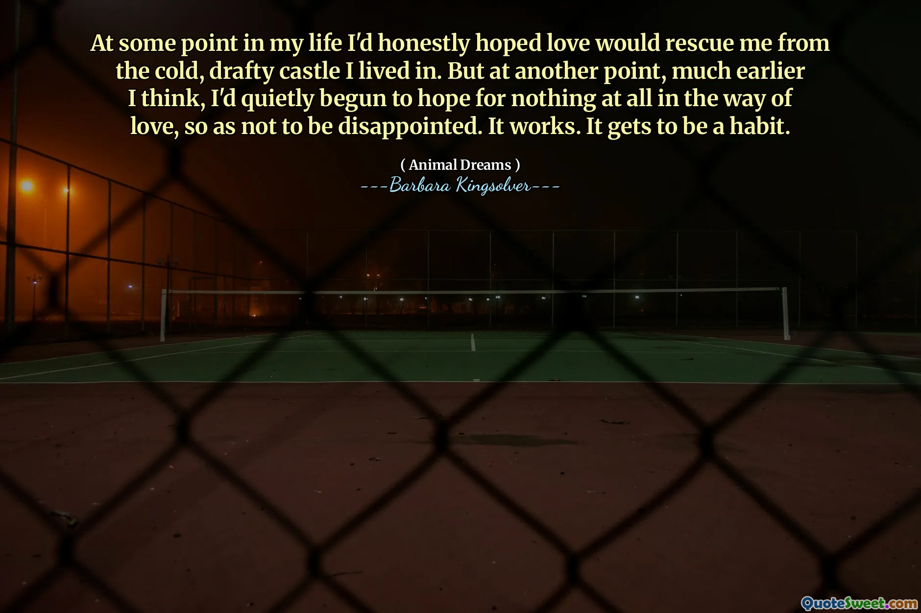 At some point in my life I'd honestly hoped love would rescue me from the cold, drafty castle I lived in. But at another point, much earlier I think, I'd quietly begun to hope for nothing at all in the way of love, so as not to be disappointed. It works. It gets to be a habit.