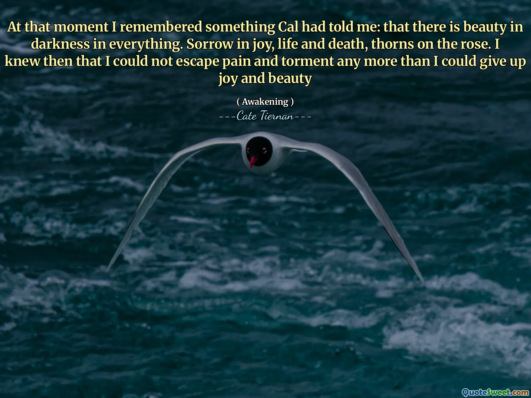 At that moment I remembered something Cal had told me: that there is beauty in darkness in everything. Sorrow in joy, life and death, thorns on the rose. I knew then that I could not escape pain and torment any more than I could give up joy and beauty