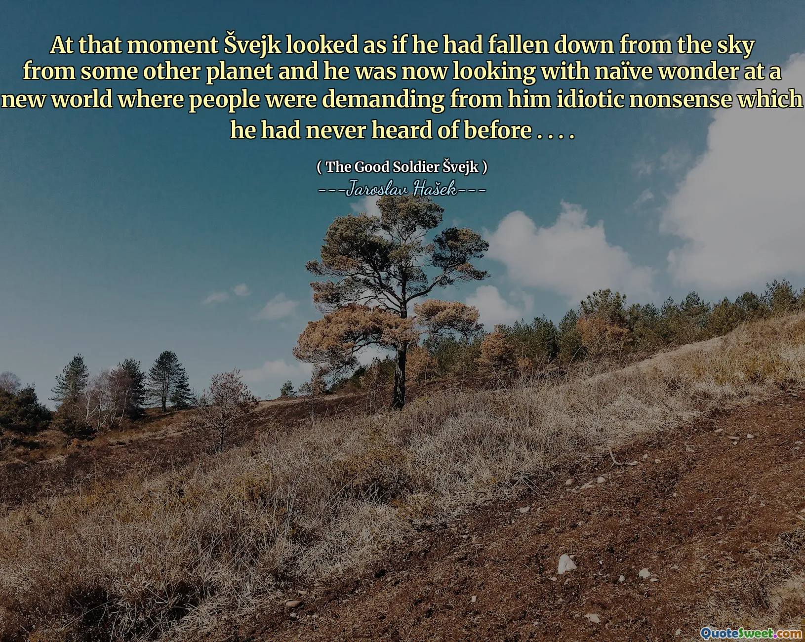 À ce moment, Švejk avait l'air de tomber du ciel d'une autre planète et il regardait maintenant avec une merveille naïve dans un nouveau monde où les gens exigeaient de son non-sens idiot dont il n'avait jamais entendu parler auparavant. . . .