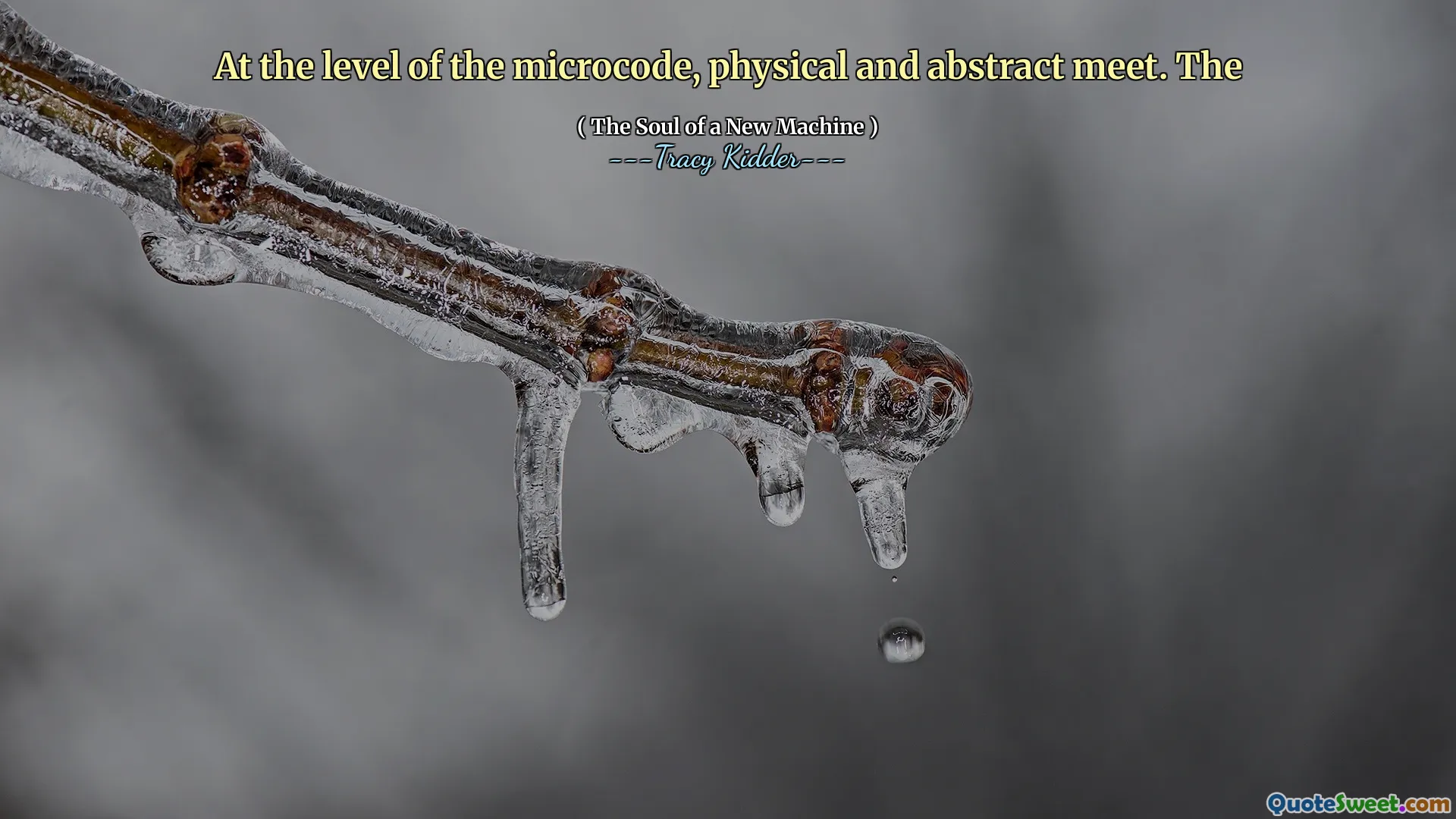 La nivelul microcodului, se întâlnesc fizic și abstract.