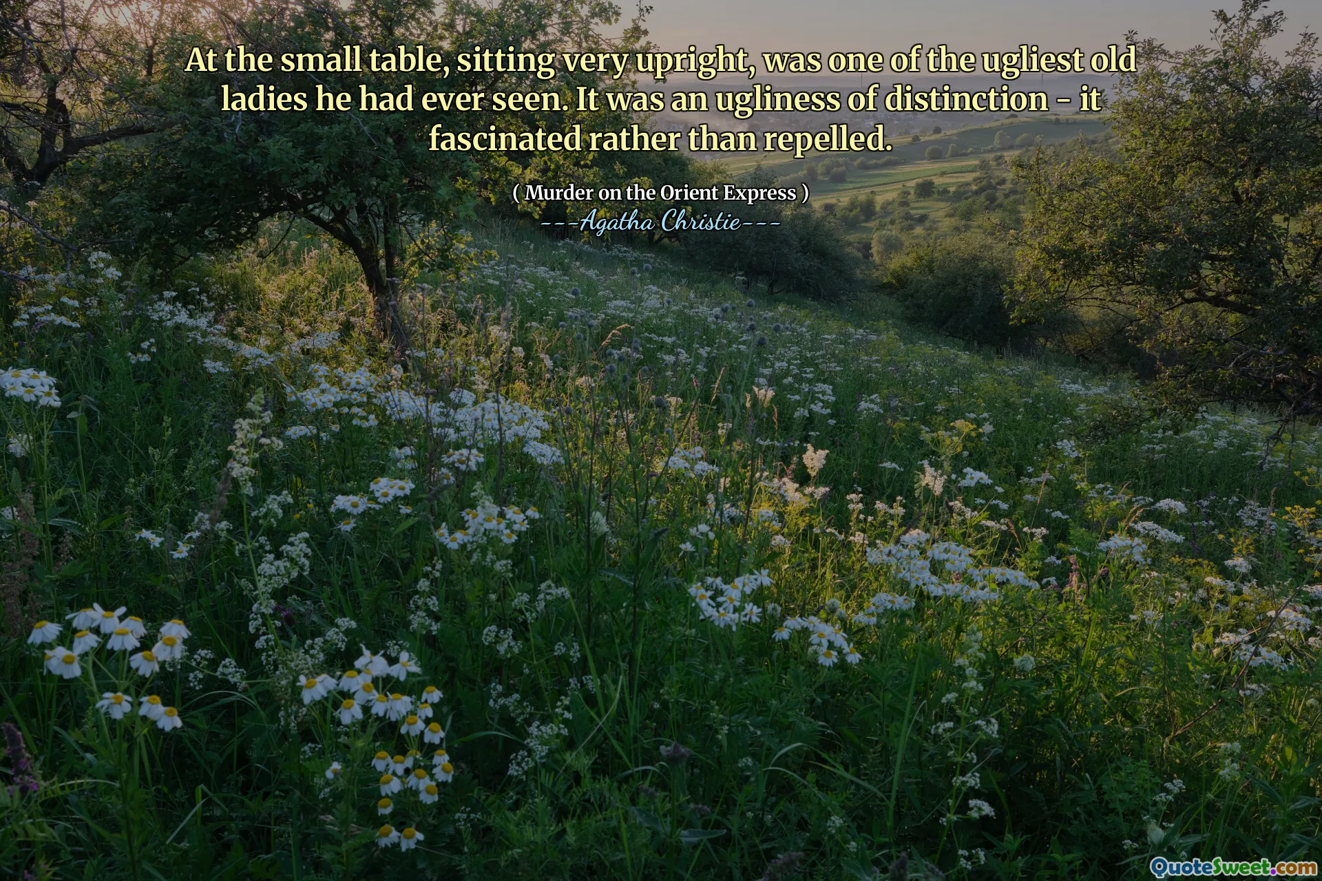 At the small table, sitting very upright, was one of the ugliest old ladies he had ever seen. It was an ugliness of distinction - it fascinated rather than repelled.