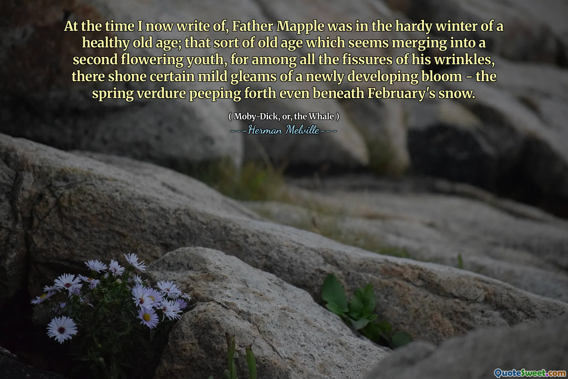 当时我写信，麦克尔神父正处于健康的老年冬天。这种古老的时代似乎融入了第二个开花的青年，因为在他的皱纹的所有裂缝中，有些闪闪发光的闪闪发光的新鲜花的闪闪发光 - 春天的绿绿色甚至在2月的雪下都窥视。