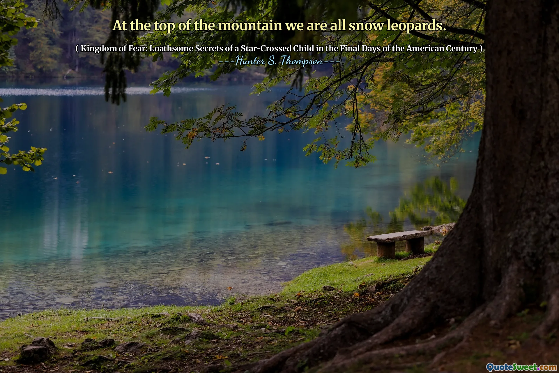 在山的顶部，我们都是雪豹。