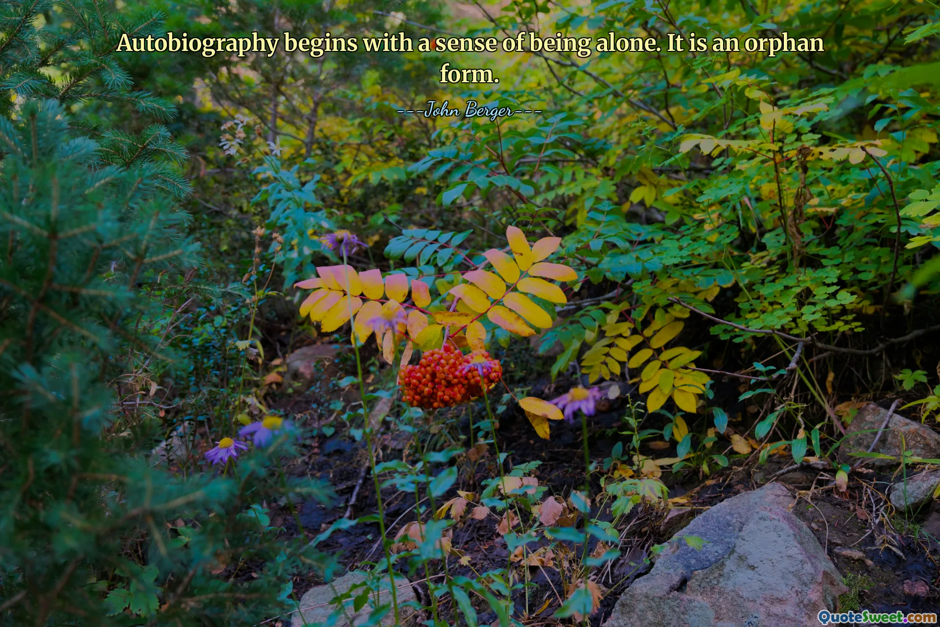 Autobiography begins with a sense of being alone. It is an orphan form.