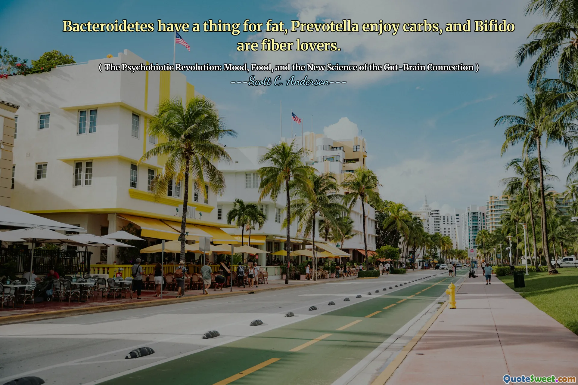 Bacteroidetes hebben iets met vet, Prevotella houdt van koolhydraten en Bifido is dol op vezels.