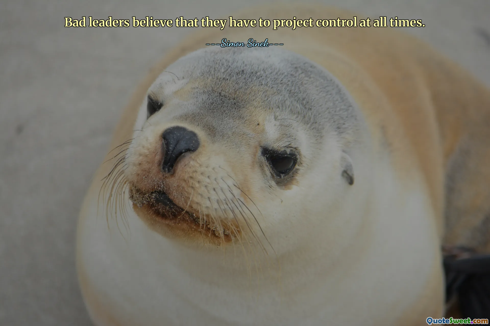 Bad leaders believe that they have to project control at all times.