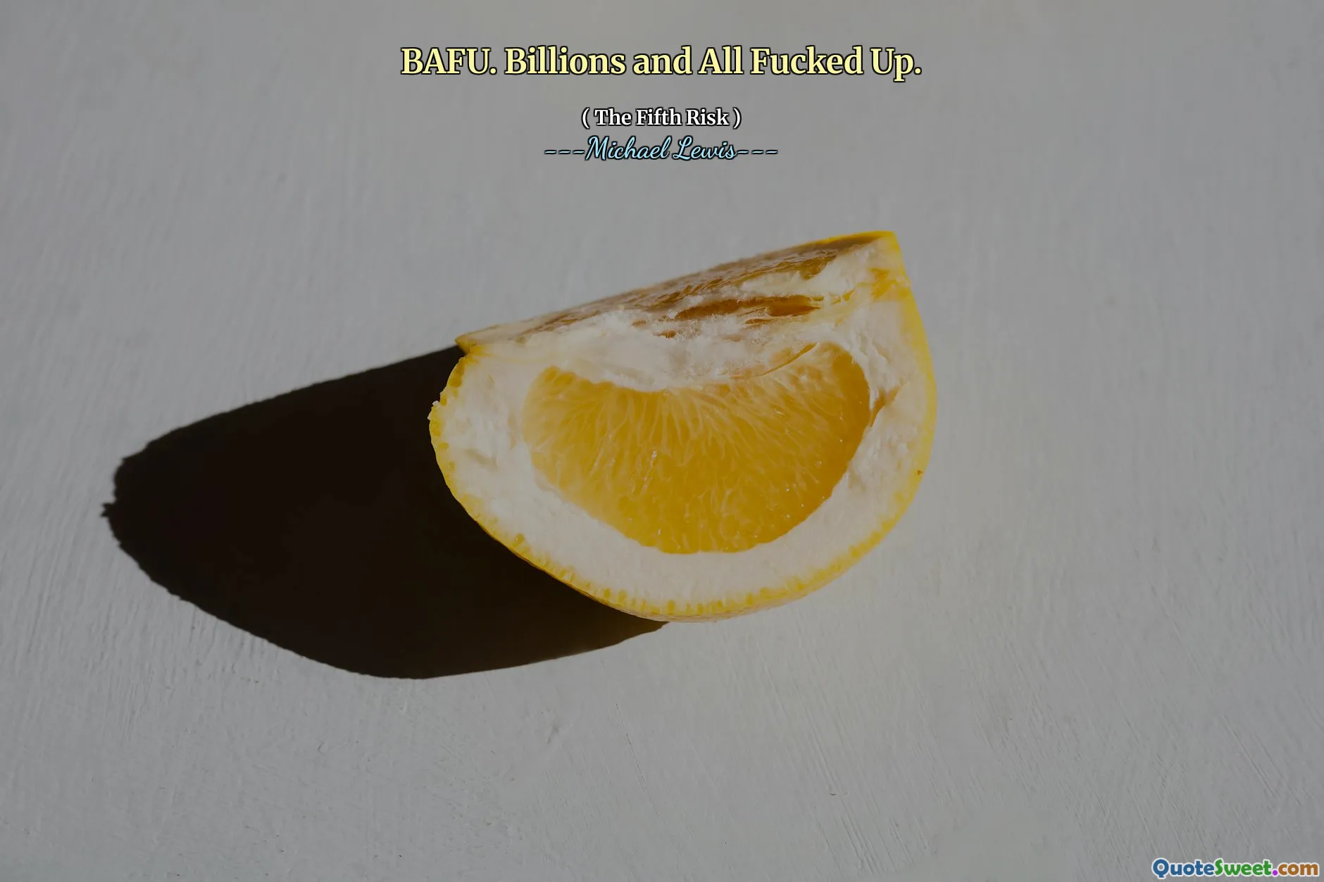 Bafu. Milliarden und alles beschissen.