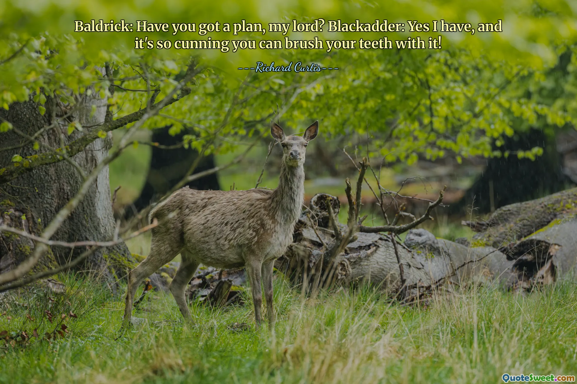 Baldrick: Have you got a plan, my lord? Blackadder: Yes I have, and it's so cunning you can brush your teeth with it!