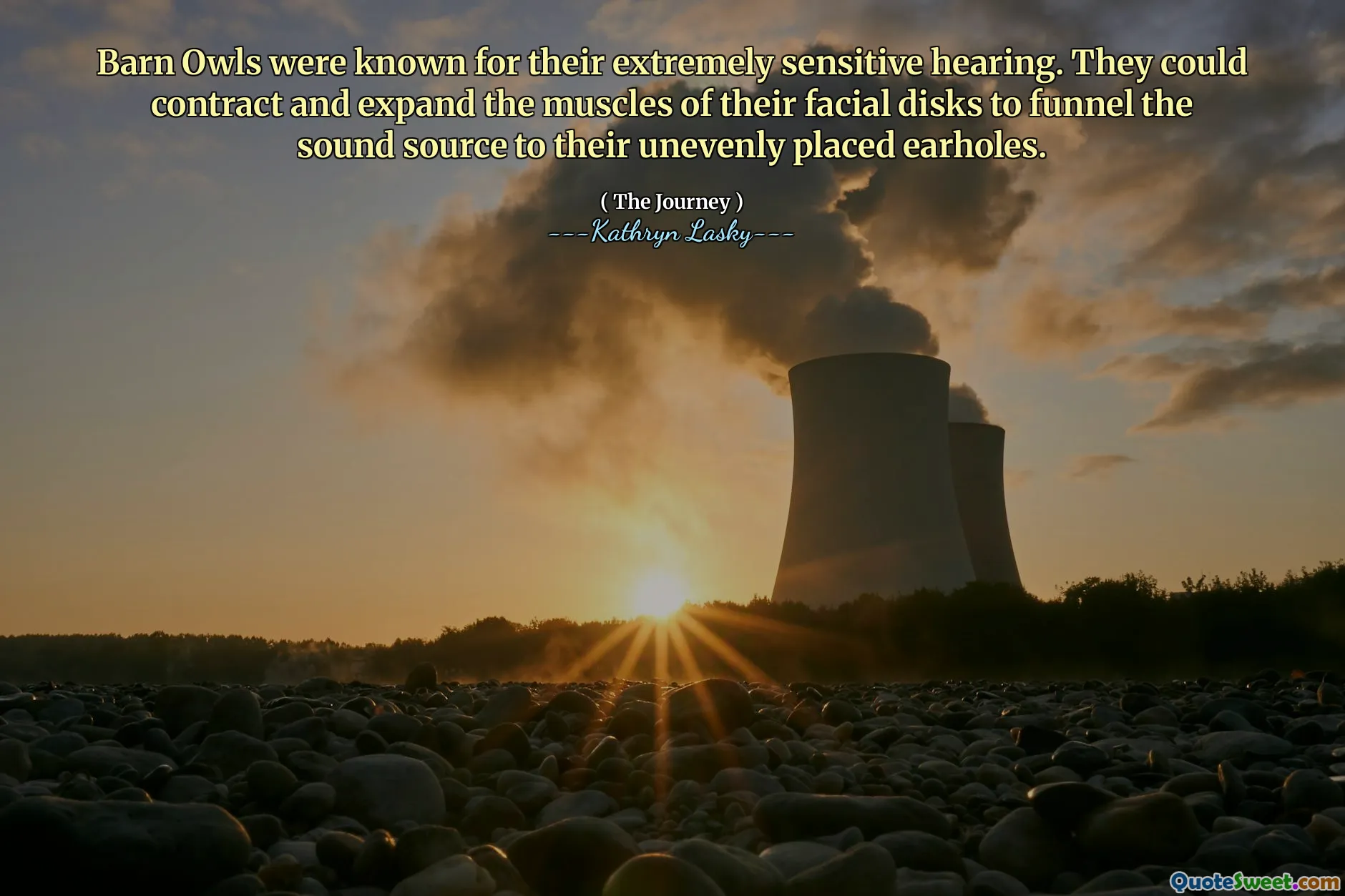 Barn Owls were known for their extremely sensitive hearing. They could contract and expand the muscles of their facial disks to funnel the sound source to their unevenly placed earholes.